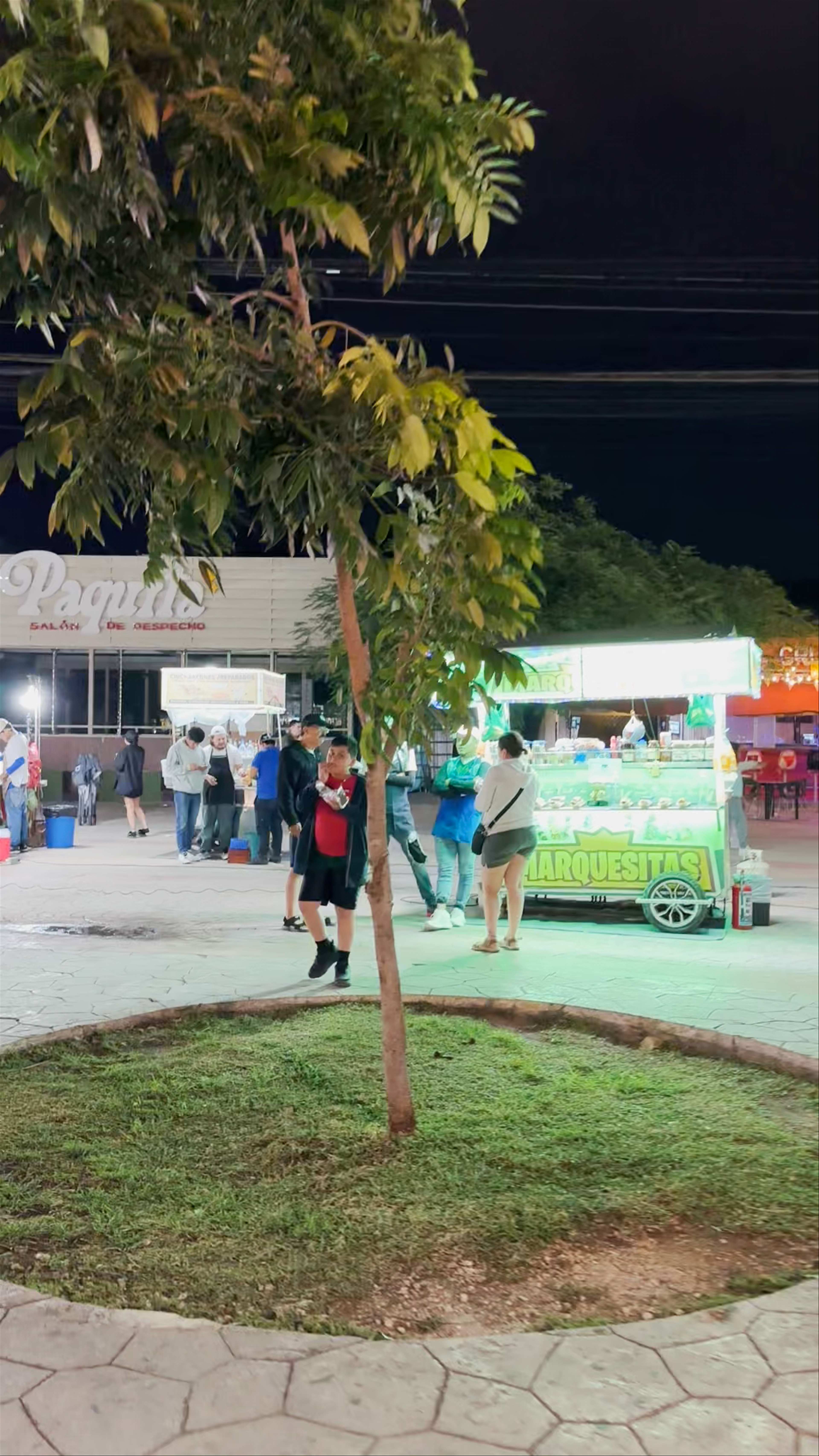 Parque de las Palapas