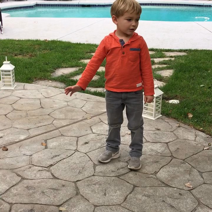 Mutt Management - 4 yr old training Arnie the puppy. - Pet Training Near Me