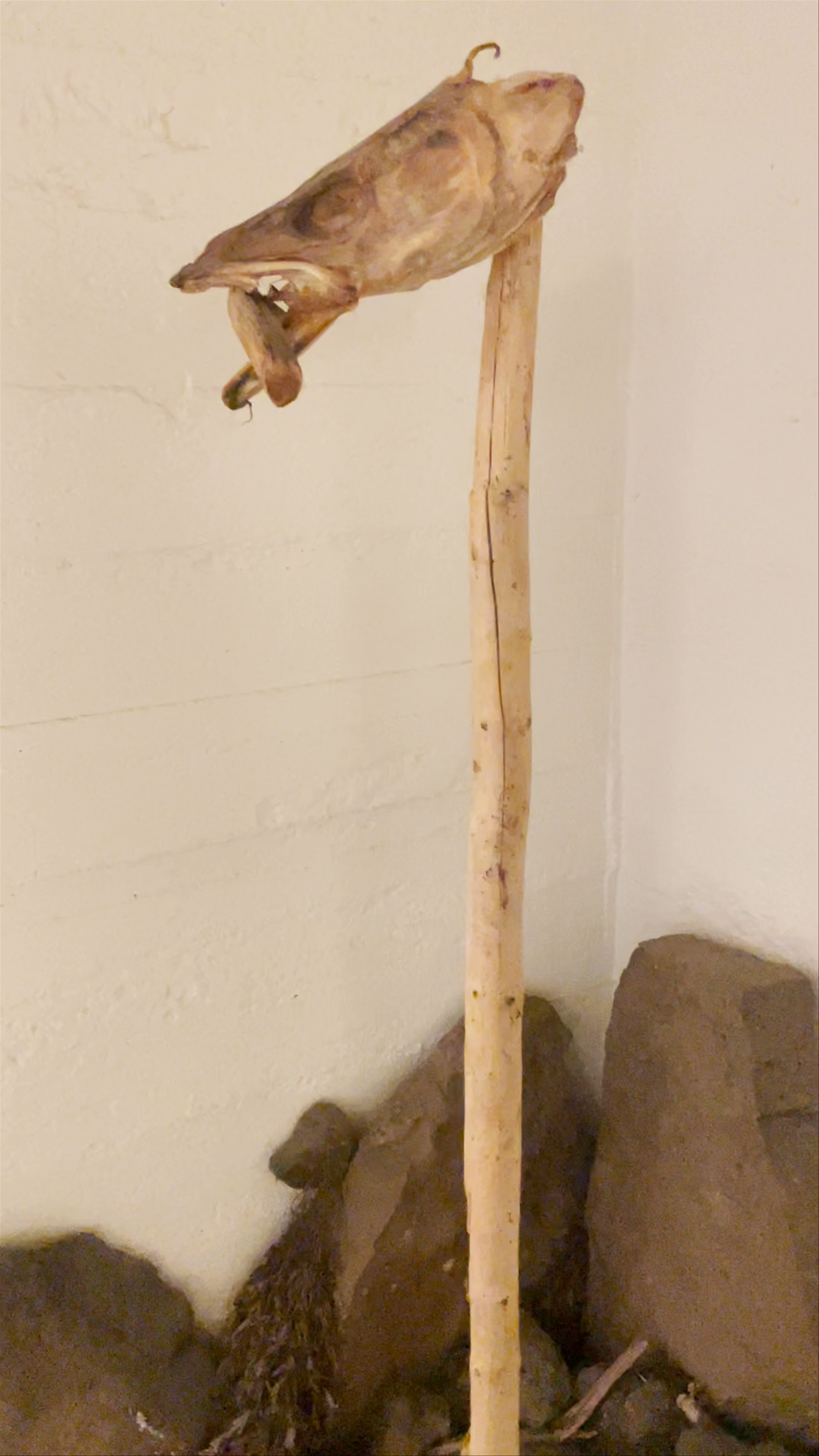 Museum of Icelandic Sorcery and Witchcraft