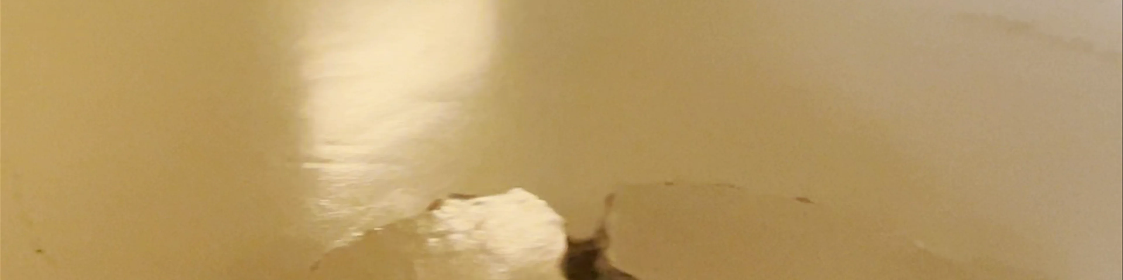 Museum of Icelandic Sorcery and Witchcraft