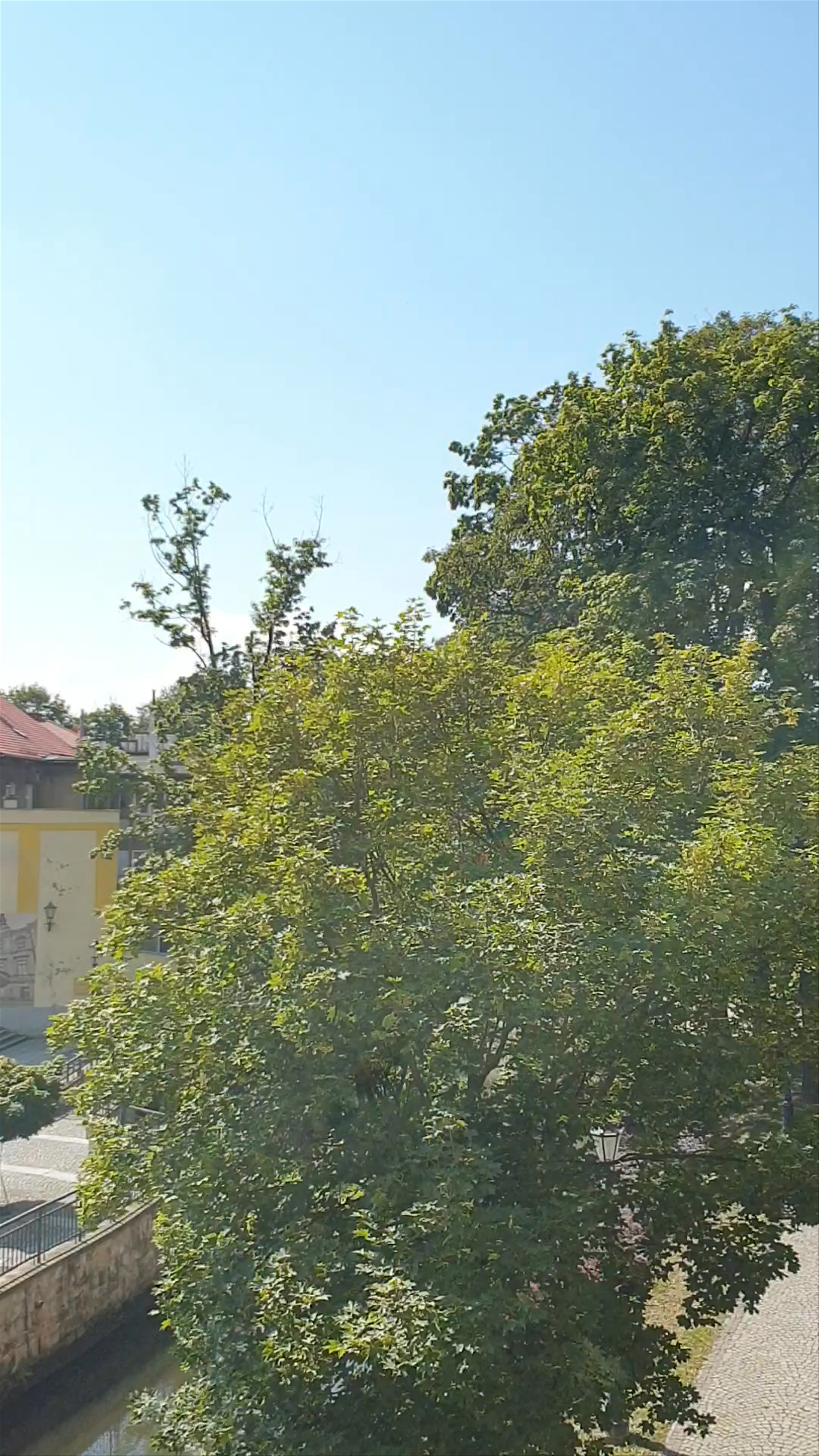 Most gotycki nad Młynówką