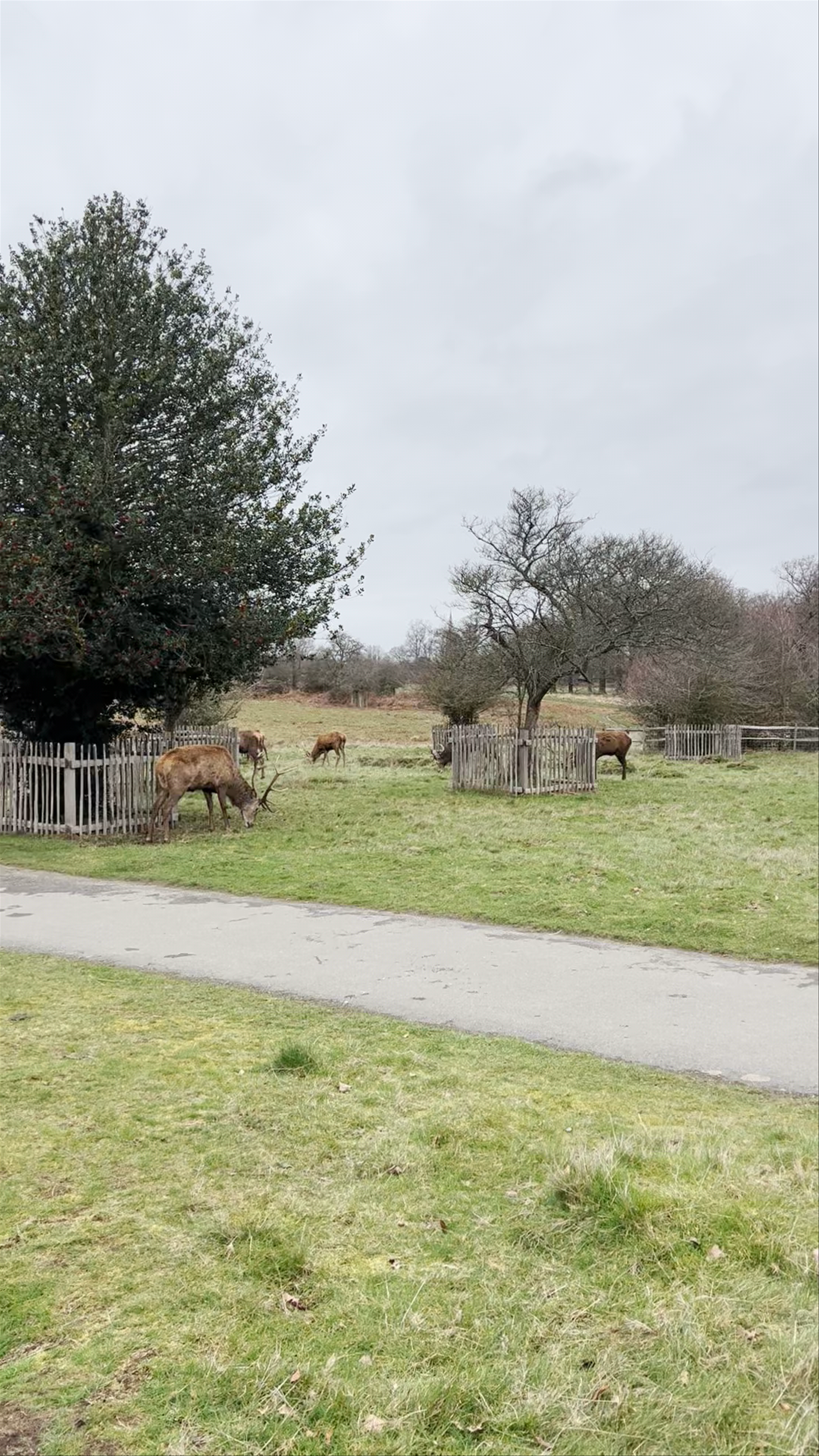 Richmond Park
