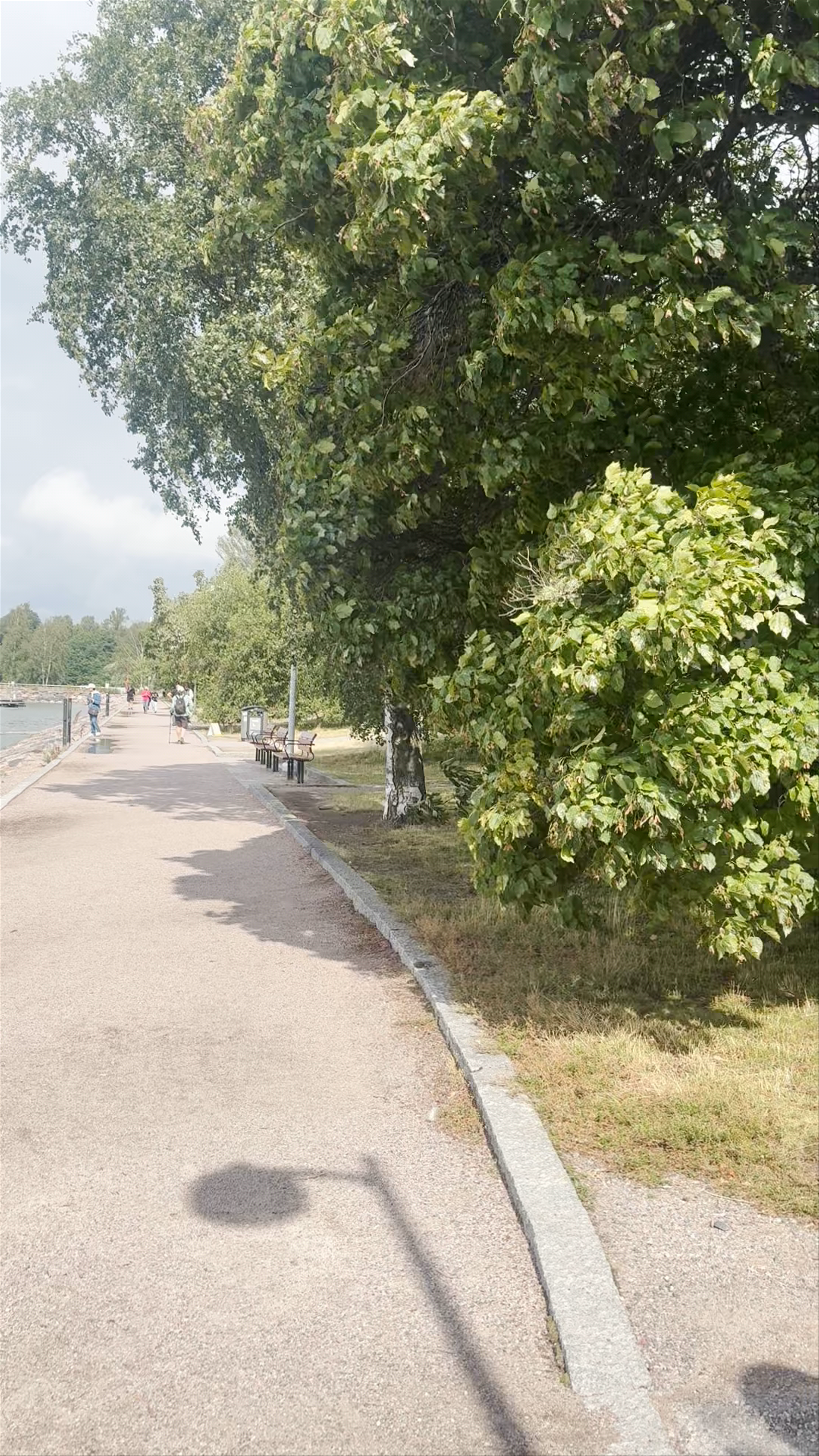 Sibelius Park