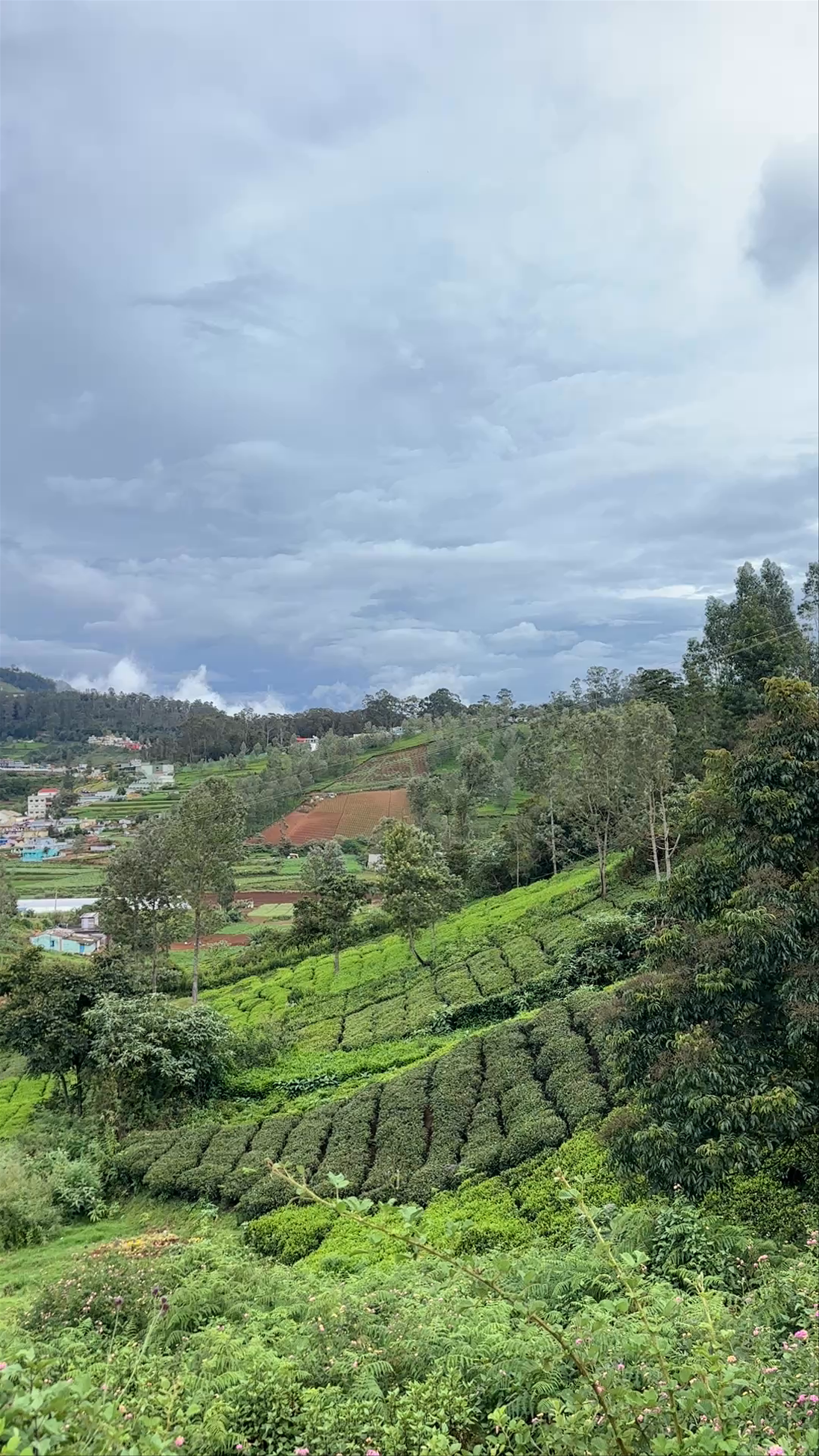 Ooty Hill Station