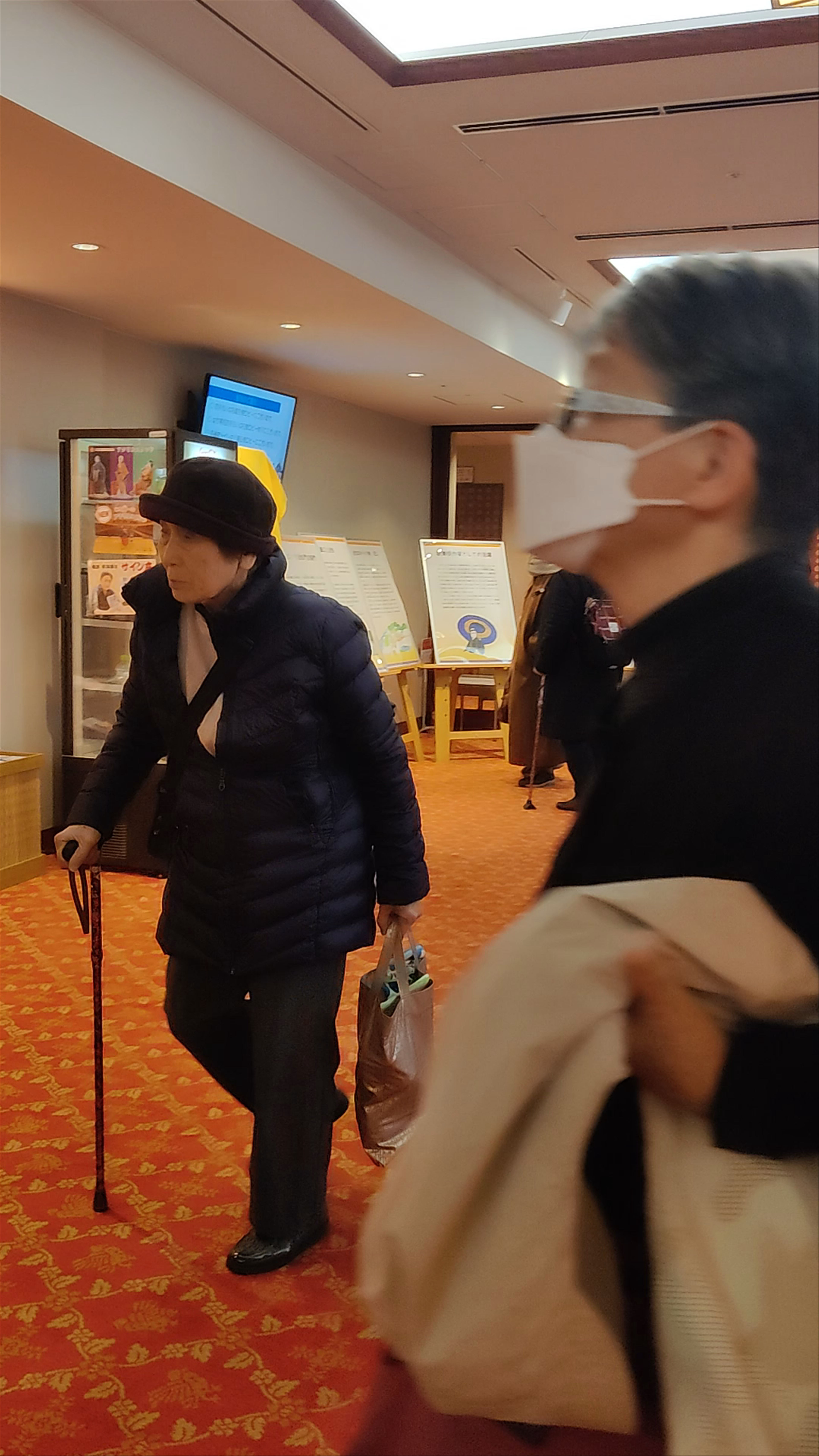 Minamiza Theater: Traditional Performing Arts Experience in Kyoto