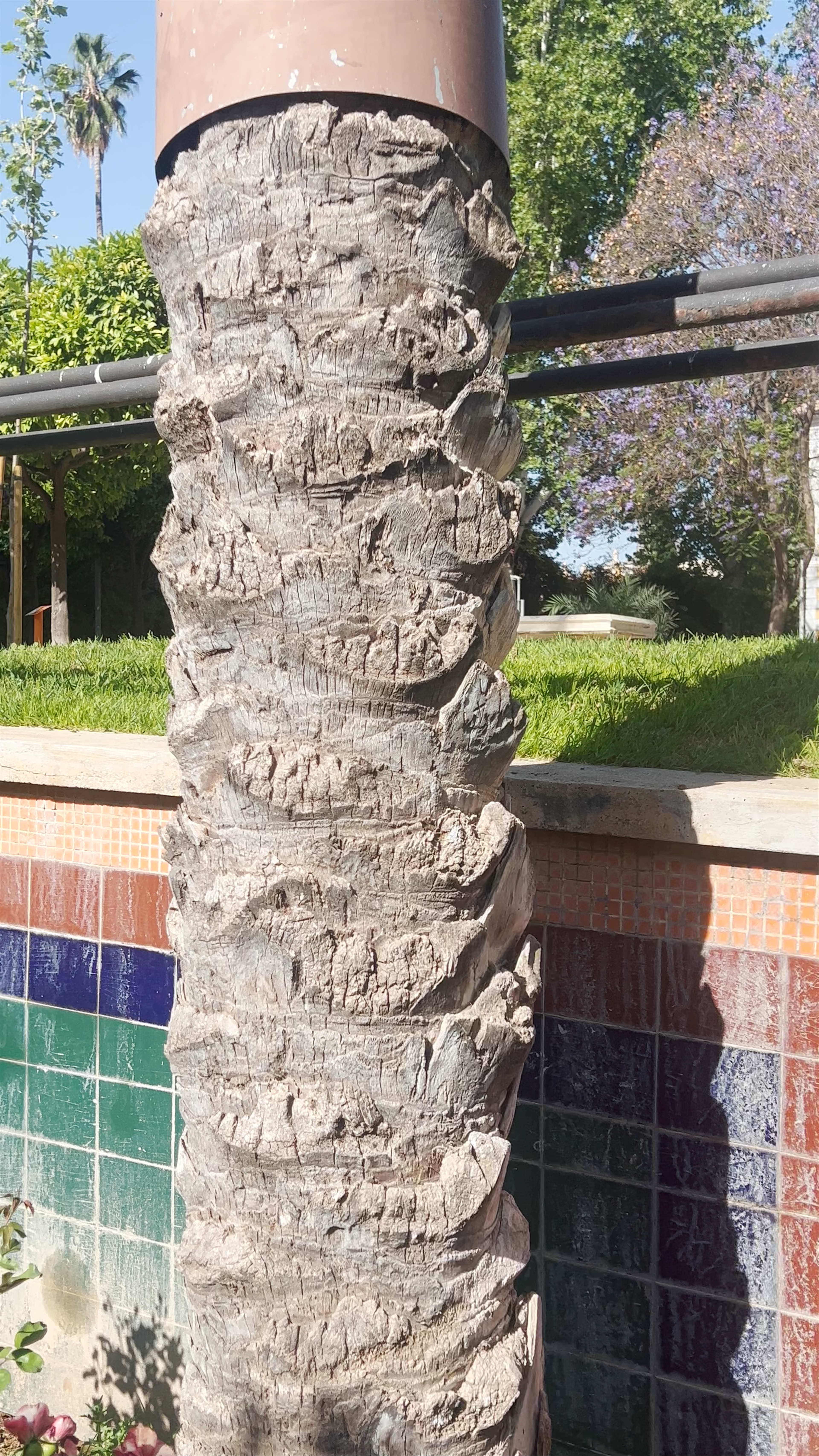 Jardín del Salitre