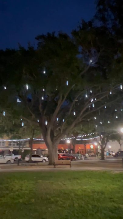 Munn Park - Parks Near Me - Lakeland, Florida