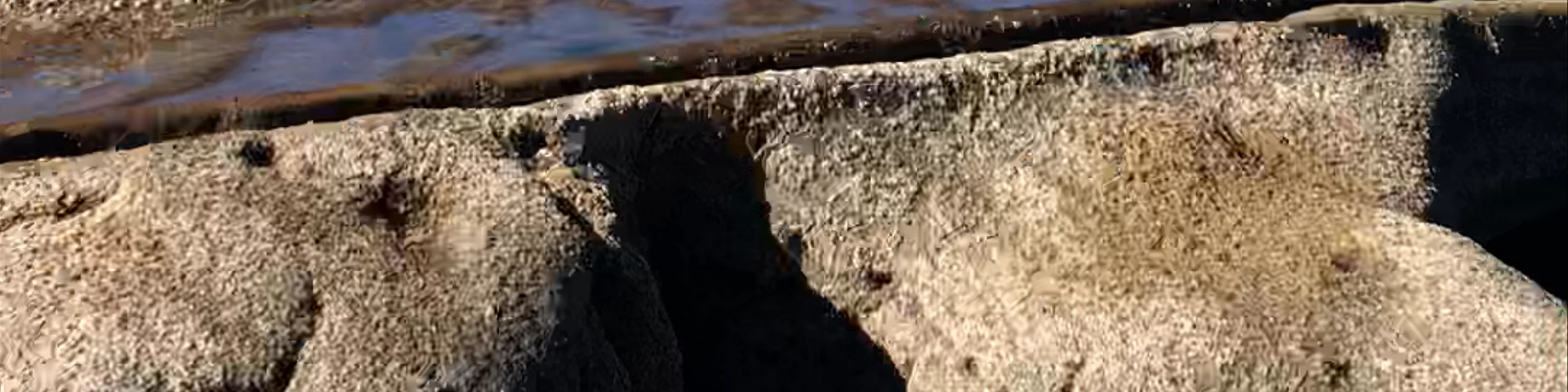 Figure Eight Pools