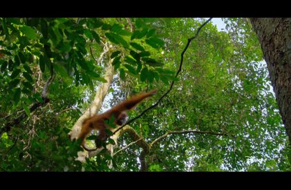 Bande-annonce en anglais