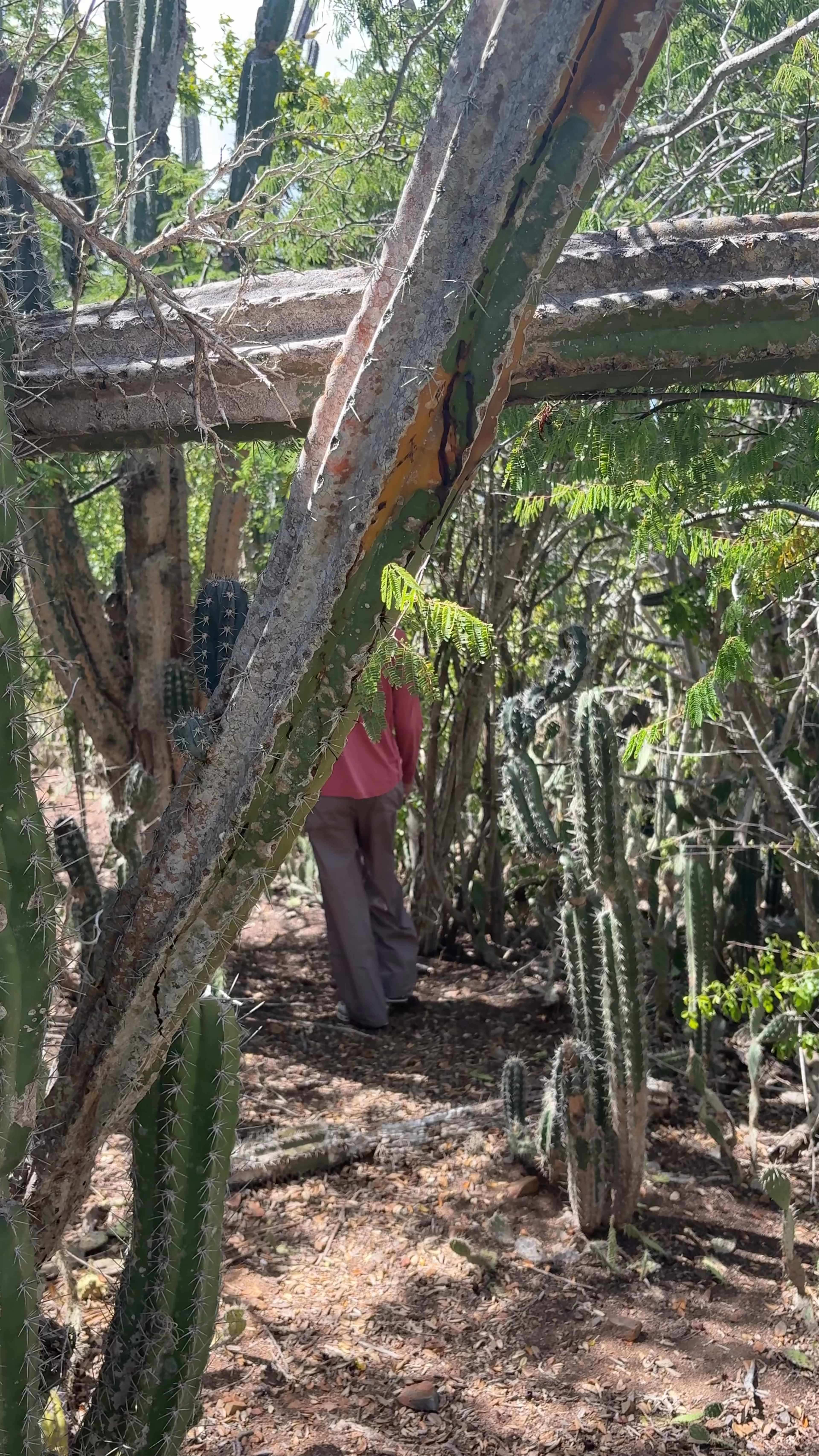 Marijke's Nature Trail