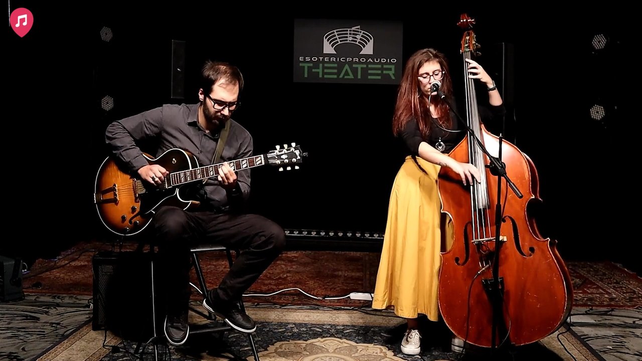 Melodic Waves - Live Showreel 2025 - video