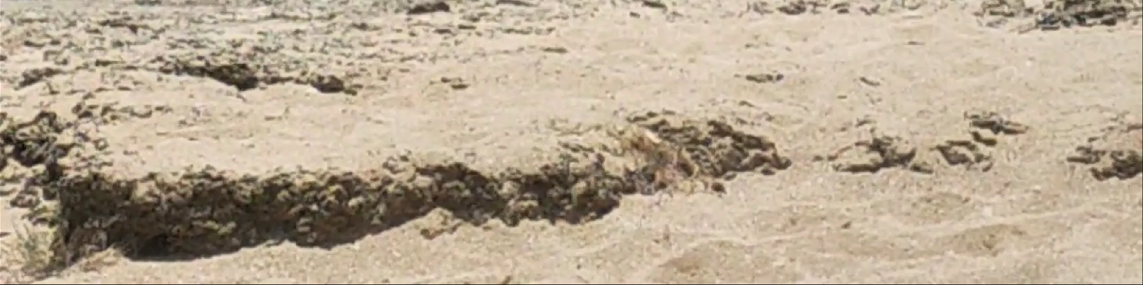 Rock Formation View Beach