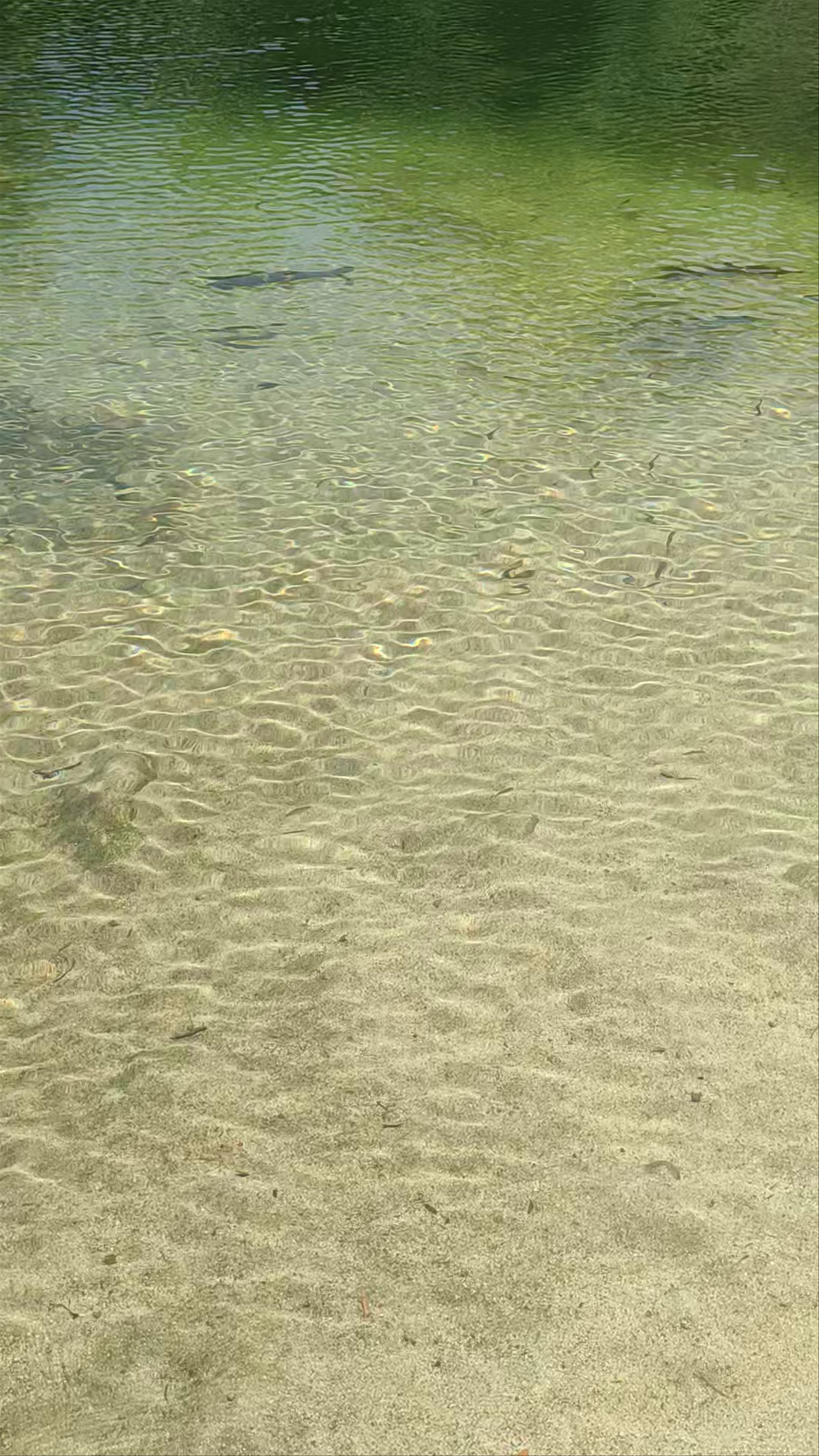 Piscina Fluvial "El Pilar"