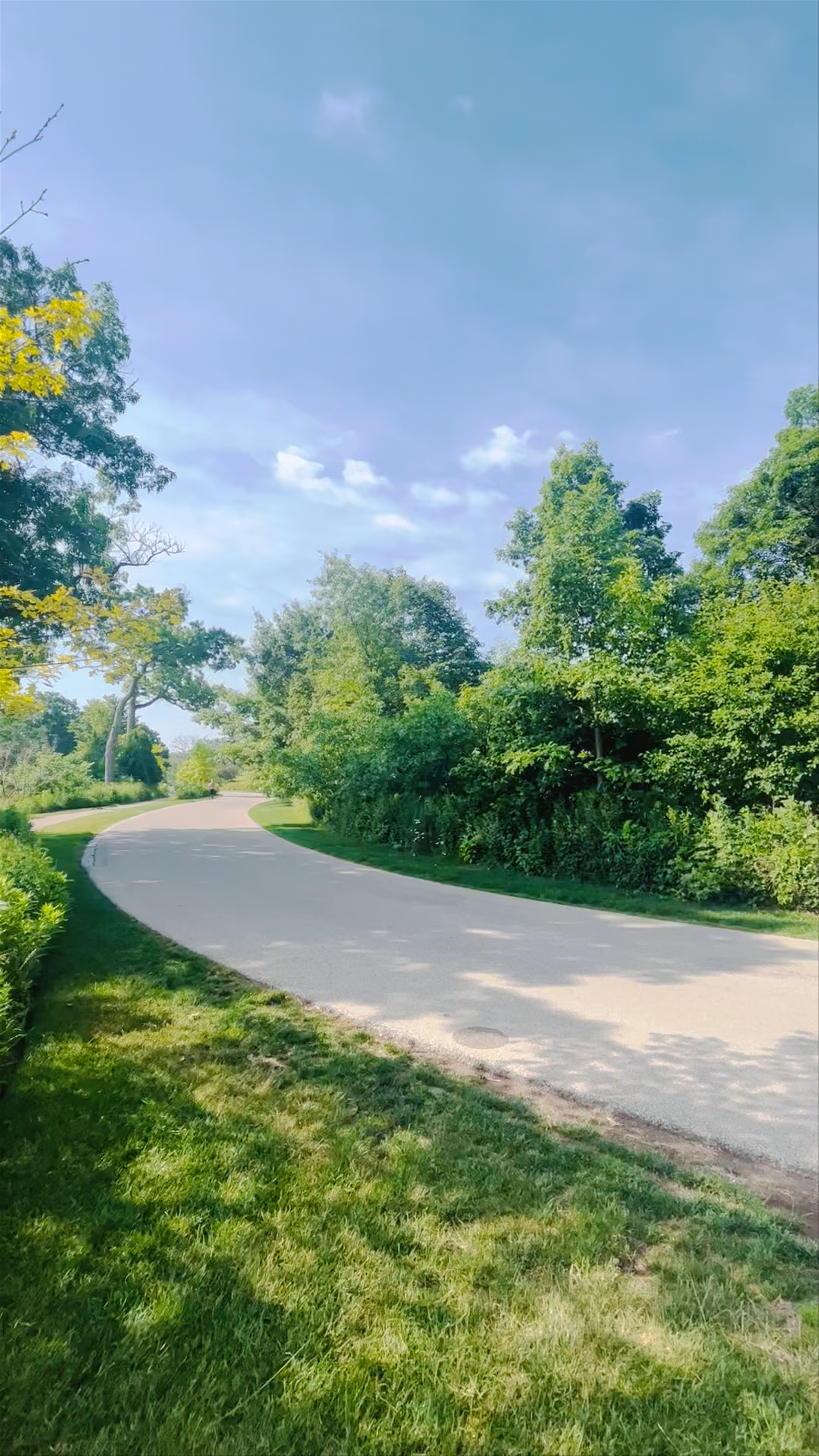 Tranquil Walk Along Lake Forest Beach Pathway in Illinois