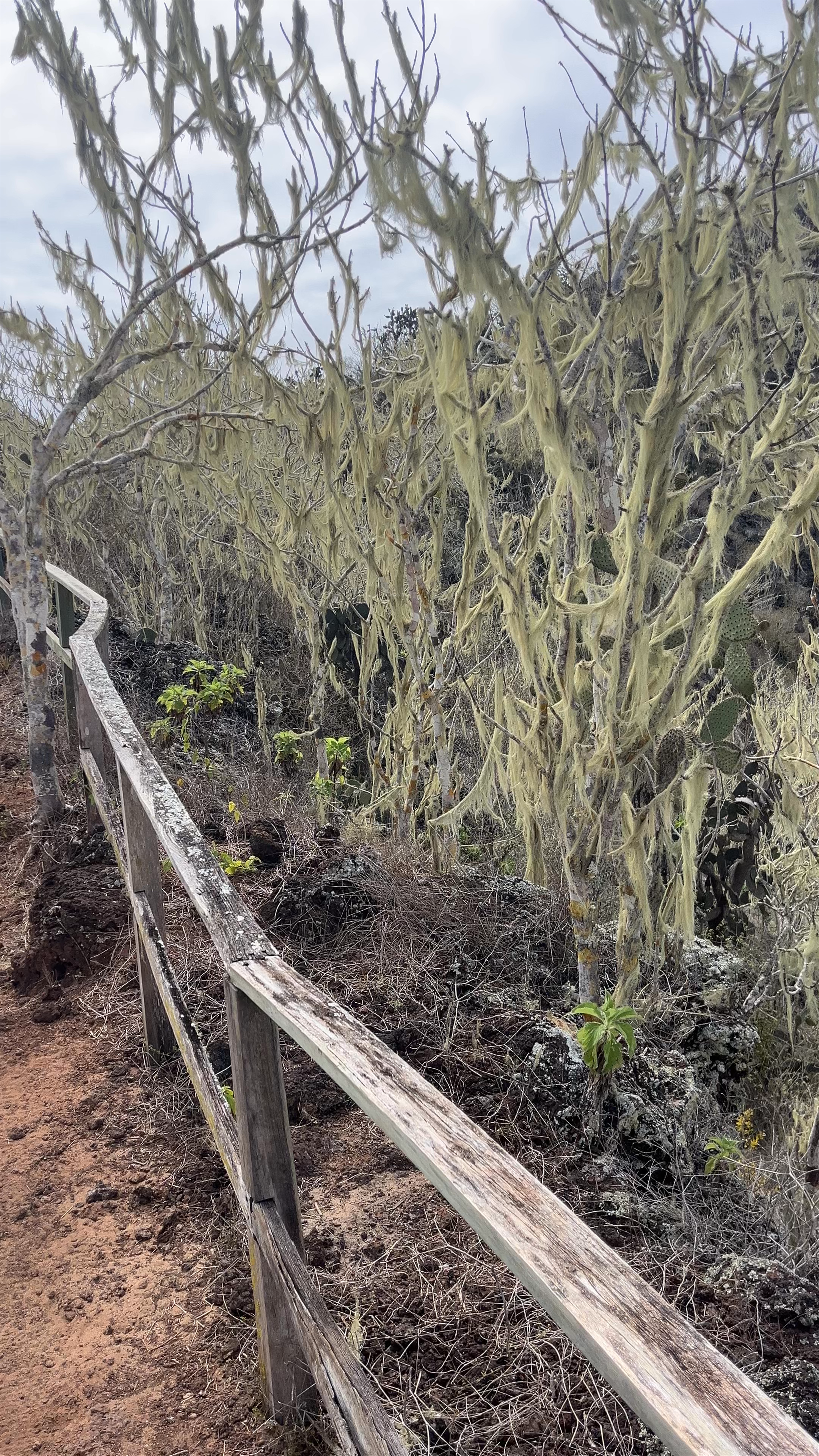 Mirador de las lagrimas