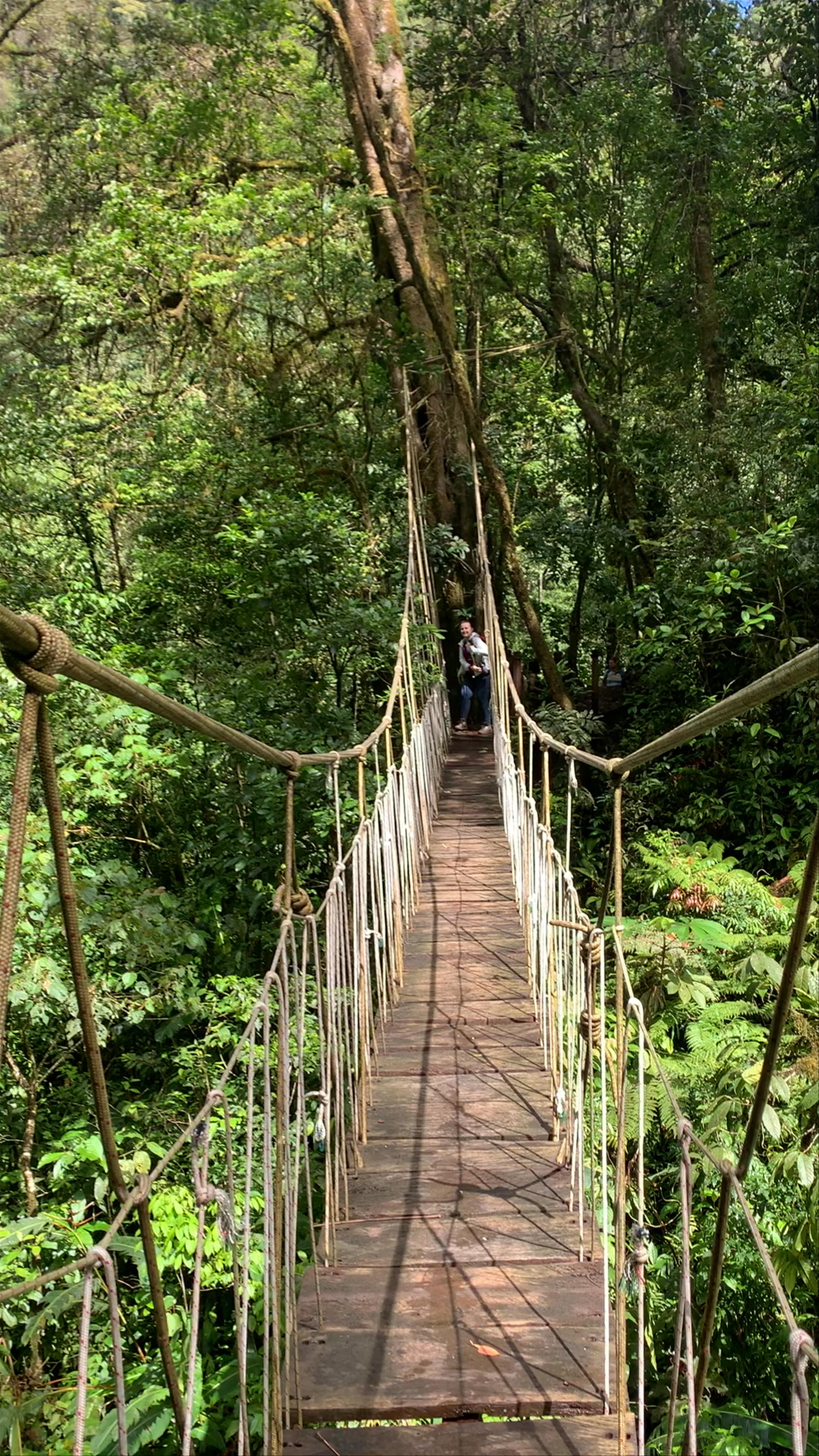 El Tigre Waterfalls Monteverde, Guanacaste Province, Costa Rica