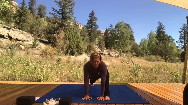 Visvamitrasana Prep