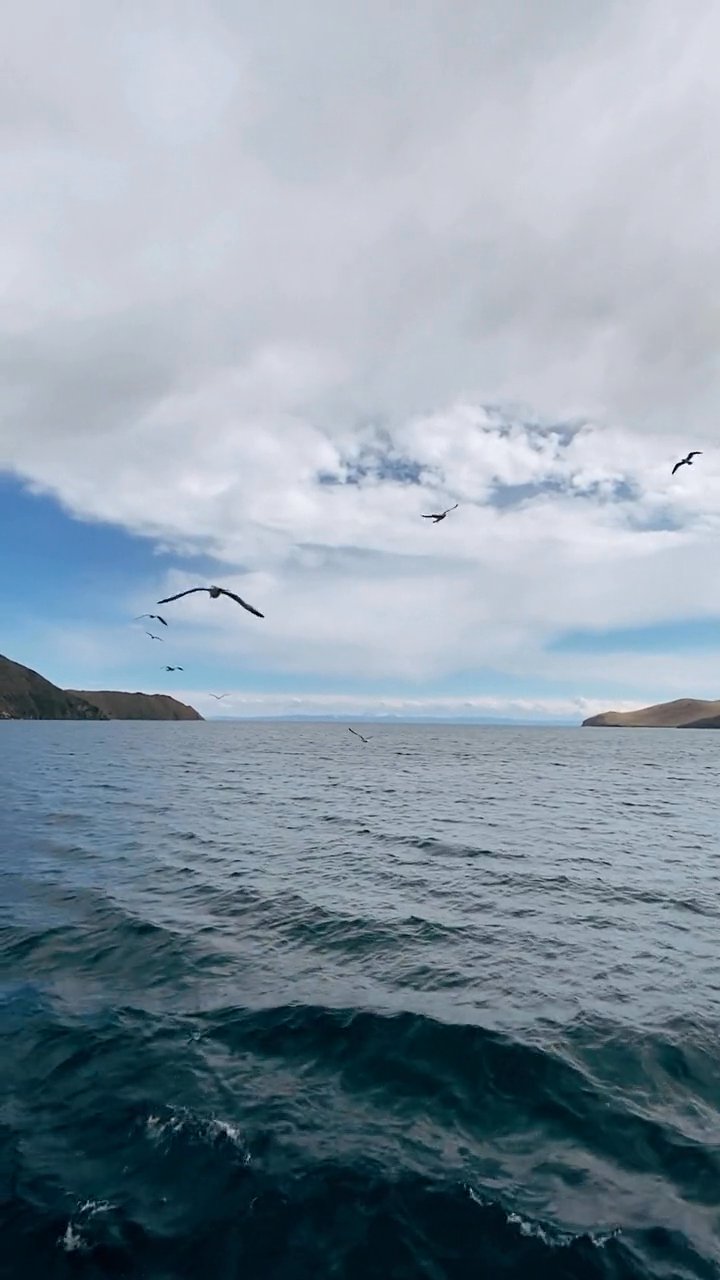 deep breath
🎥 Nadezhda Moryak · Pexels
#ocean #underwater #marinelife #nature #relax