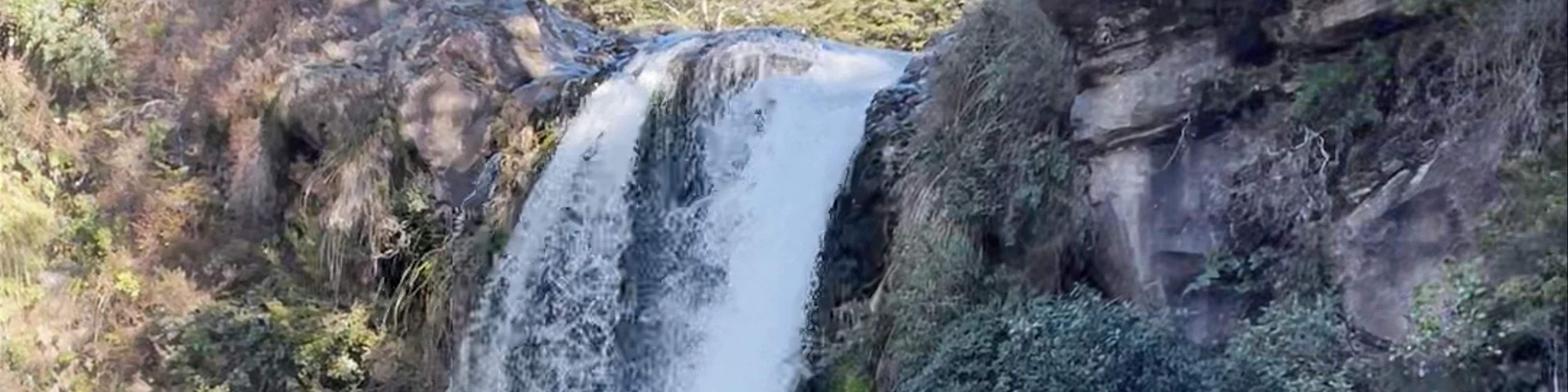 Tawhai Falls (Gollums Pool)
