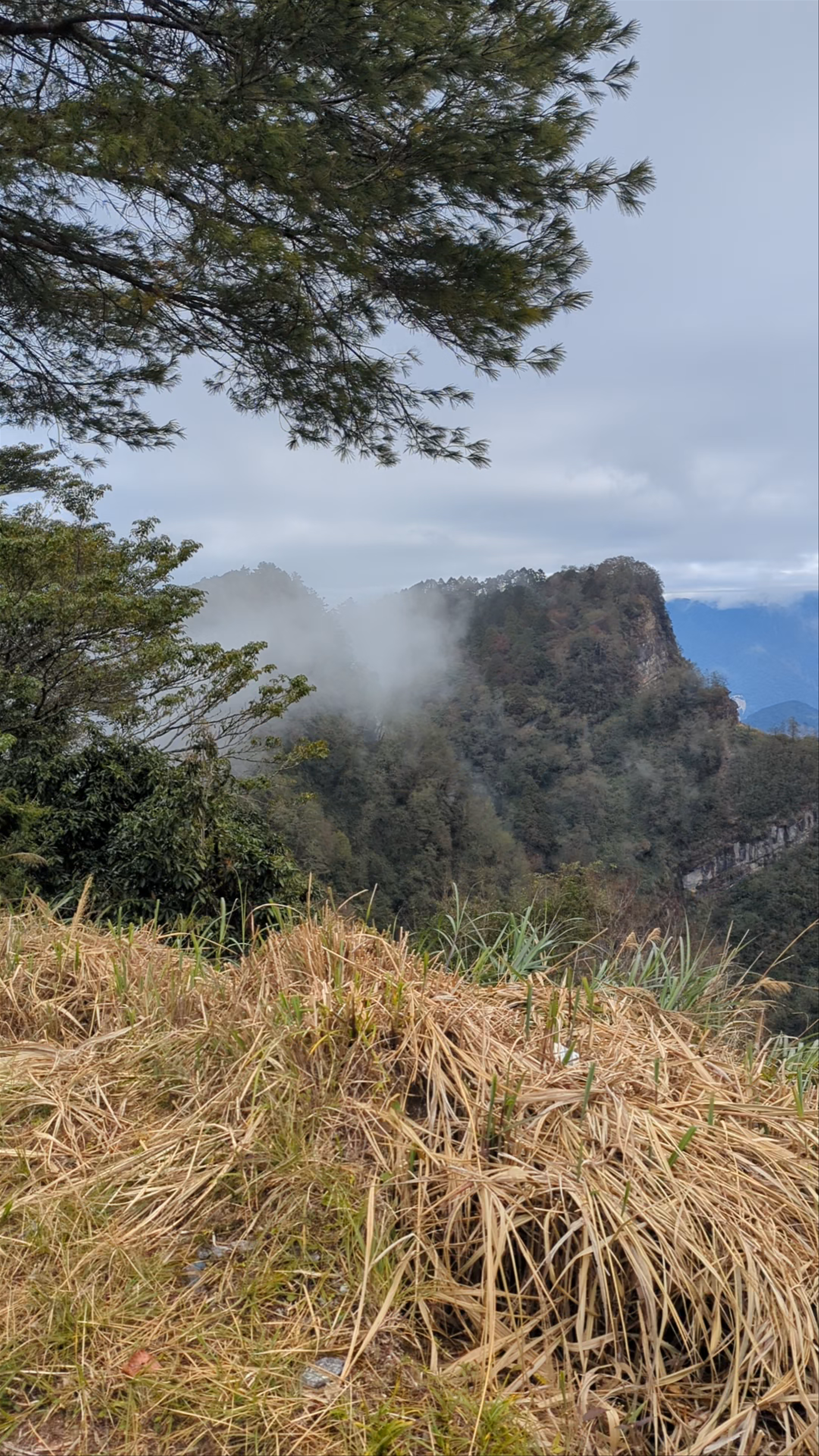 Zhushan Sunrise Trail