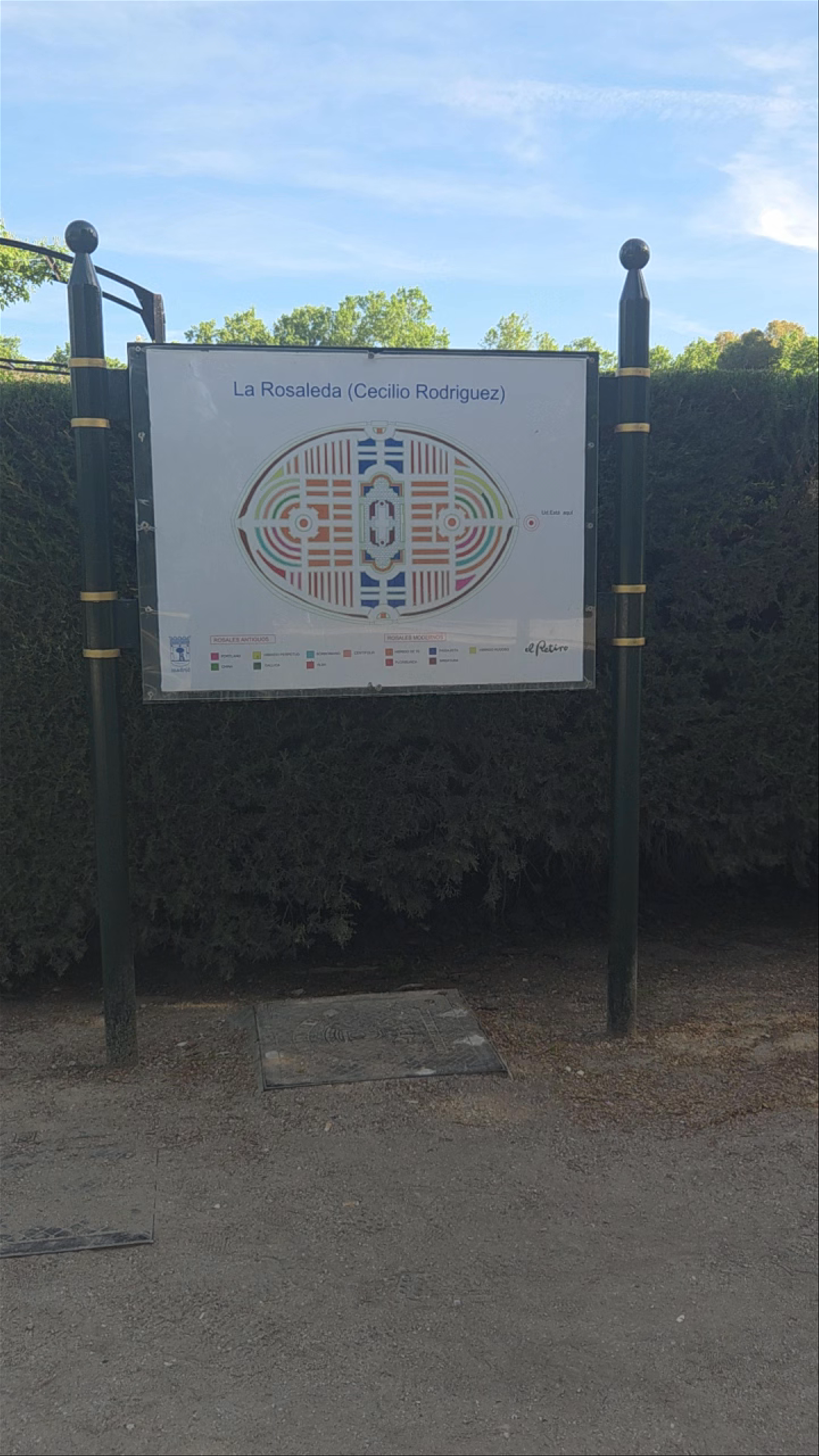 La Rosaleda
