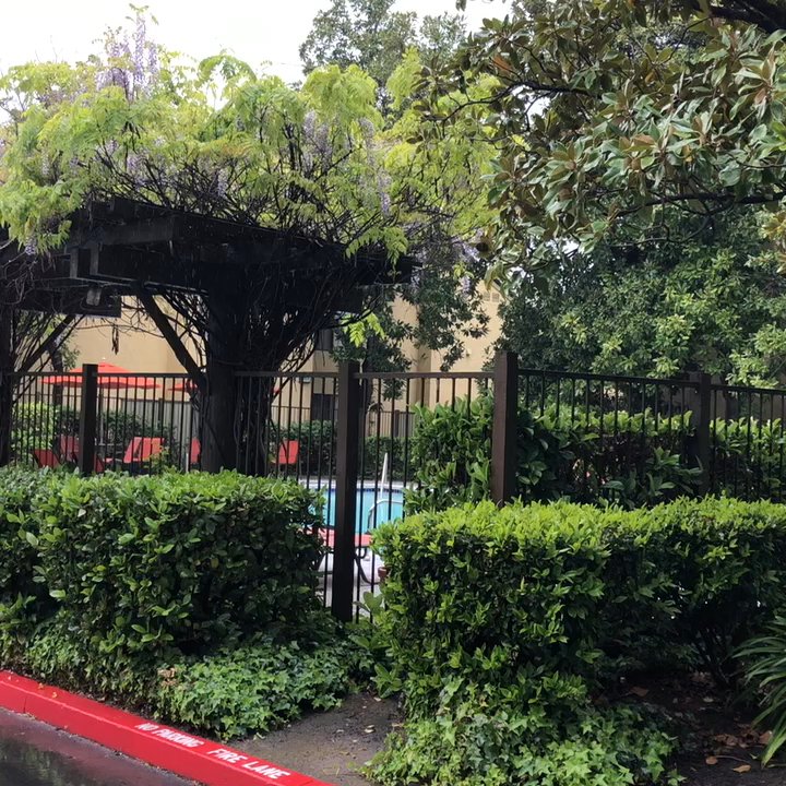 Ravello Apartments - Rain in Ravello - Apartments Near Me - Sacramento, California