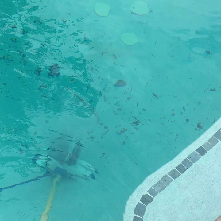 Northwest Pool and Spa - Hammerhead pool cleaner - Pool & Hot Tub Service Near Me