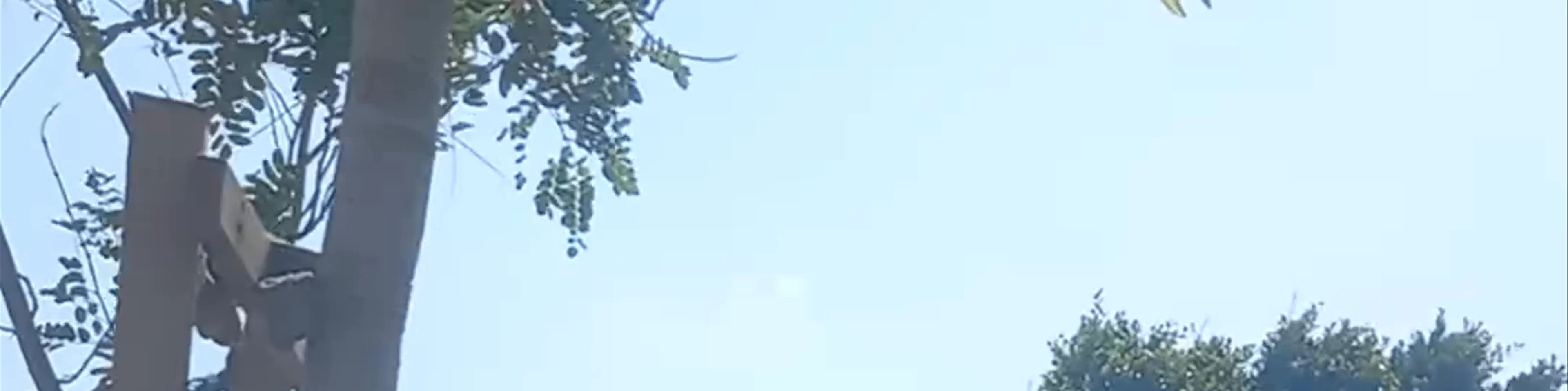 Çağlayan