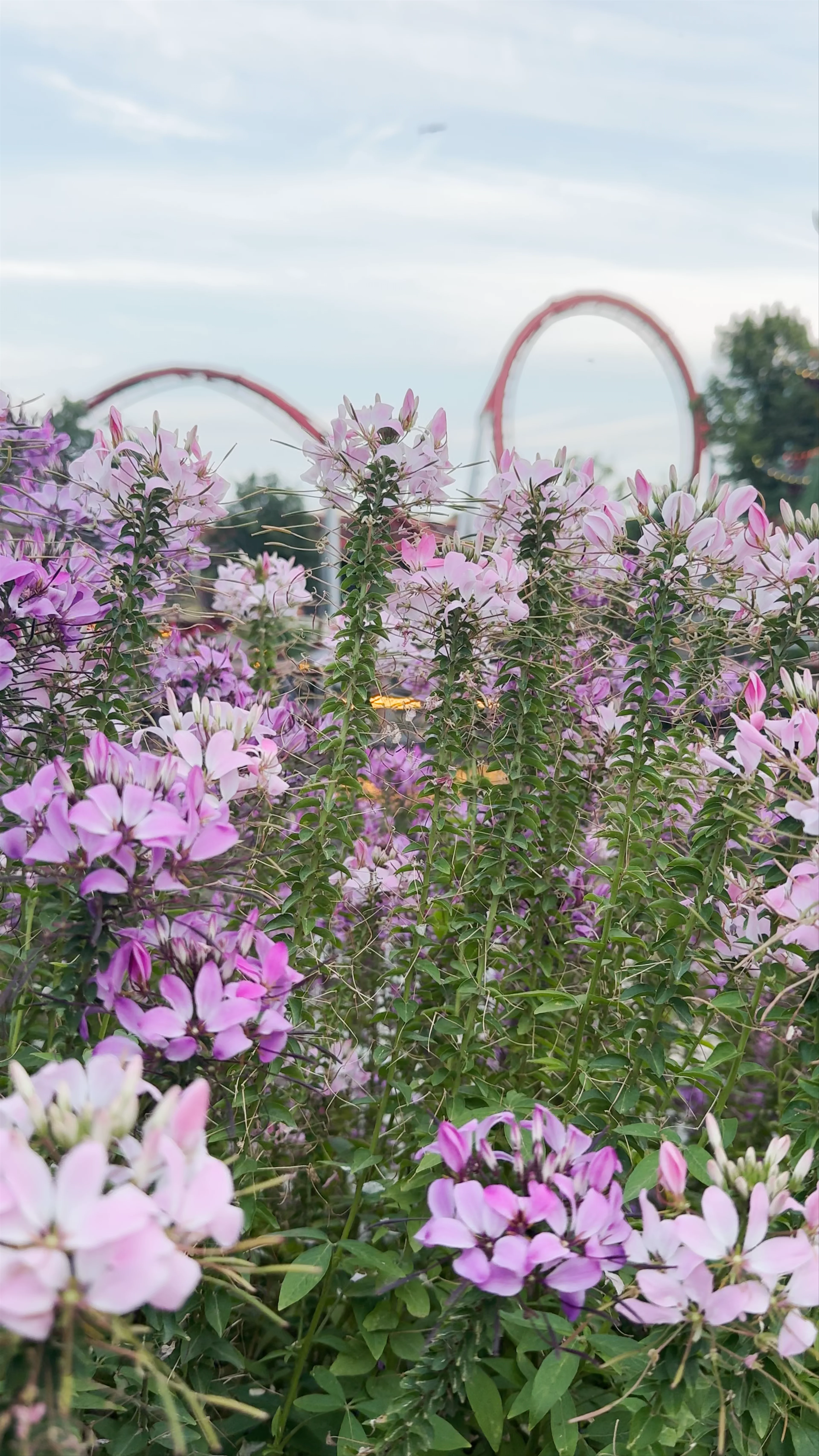 Tivoli Gardens, Vesterbrogade, København V, Denmark