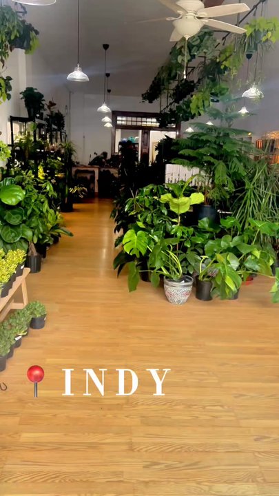 Snakeroot Botanicals - Nurseries & Gardening Near Me - Indianapolis, Indiana