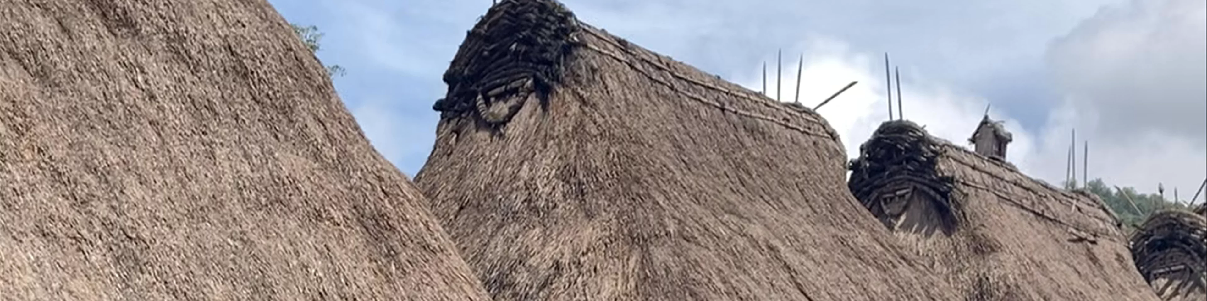 Bena Traditional Village (Thatched Roof Village)
