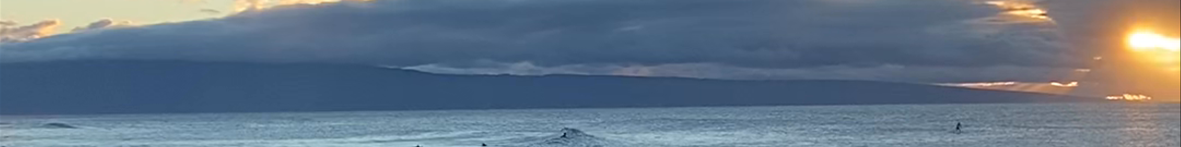 Tours & experiences in Napili-Honokowai