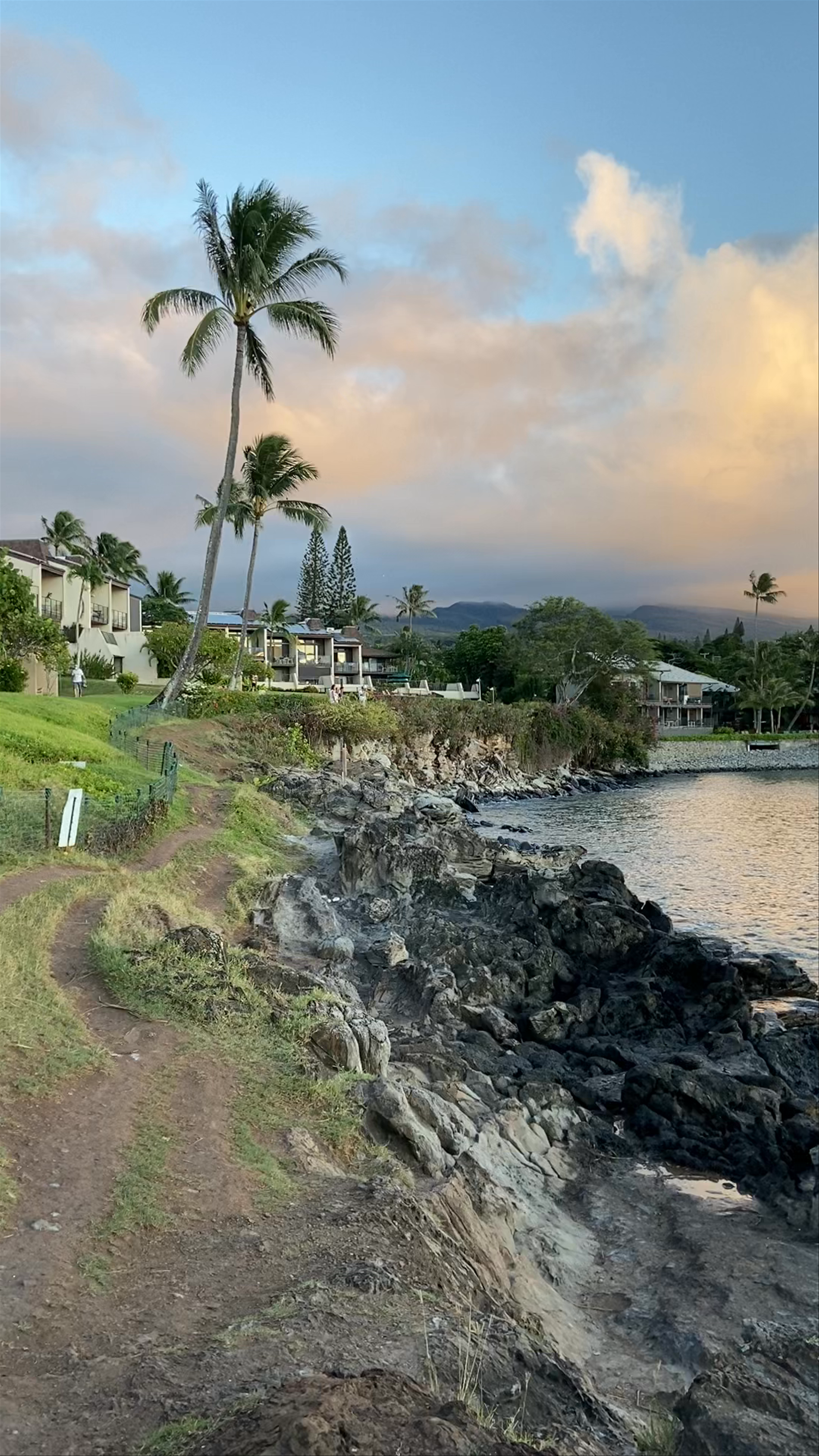 Napili Point Resort Rental
