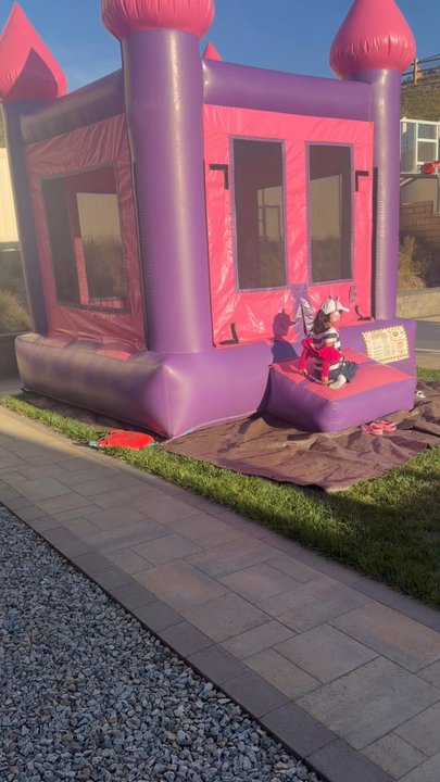Reyna's Party Rentals And More - Color of the jumper was on theme for my daughter's Gabby's dollhouse party - Party Equipment Rentals Near Me