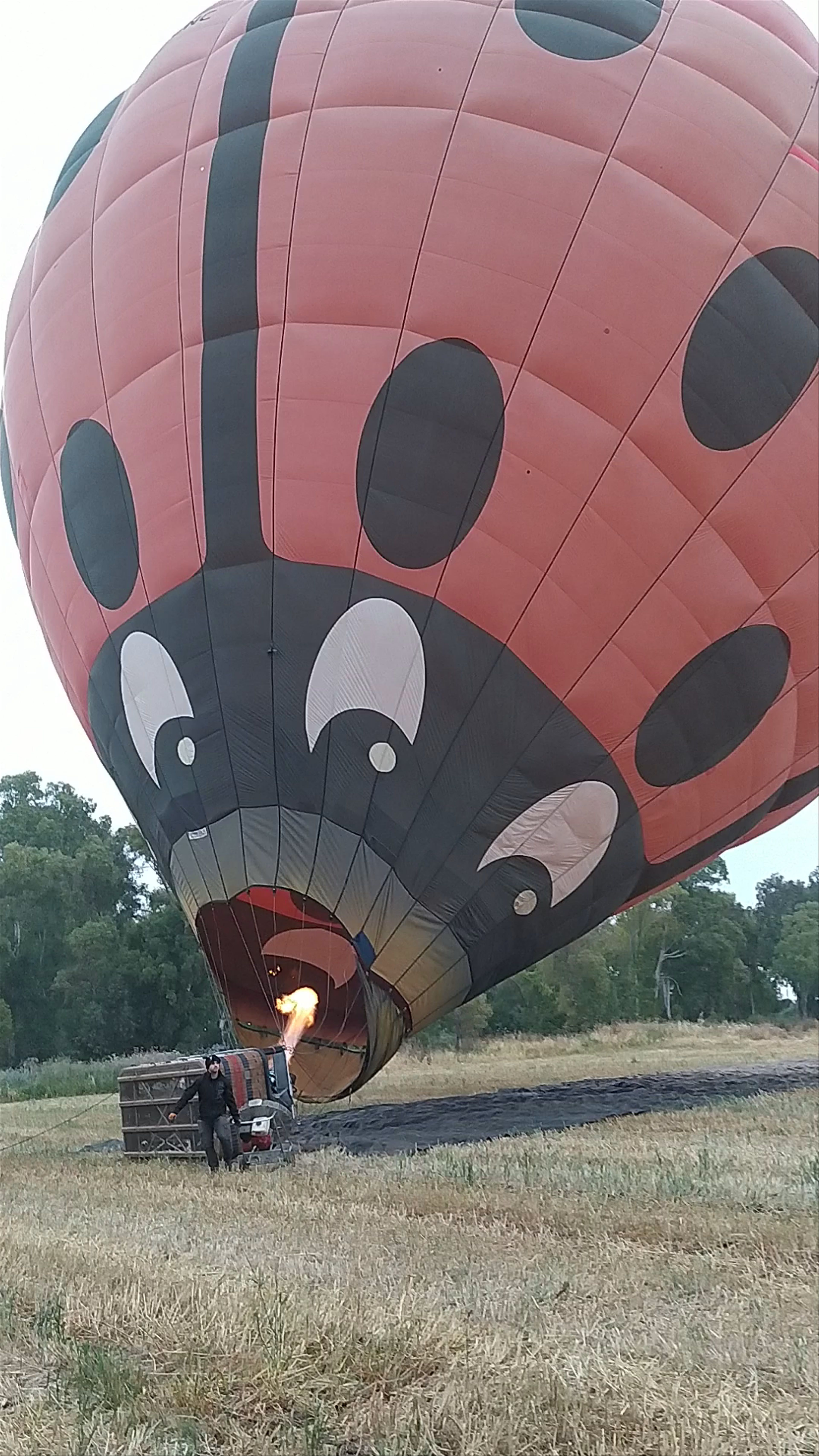Hot air balloon experience in northern Israel