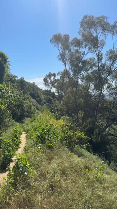 Hellman Park - Live shot of a majestic, quite afternoon on this beautiful trail - Parks Near Me - Whittier, California