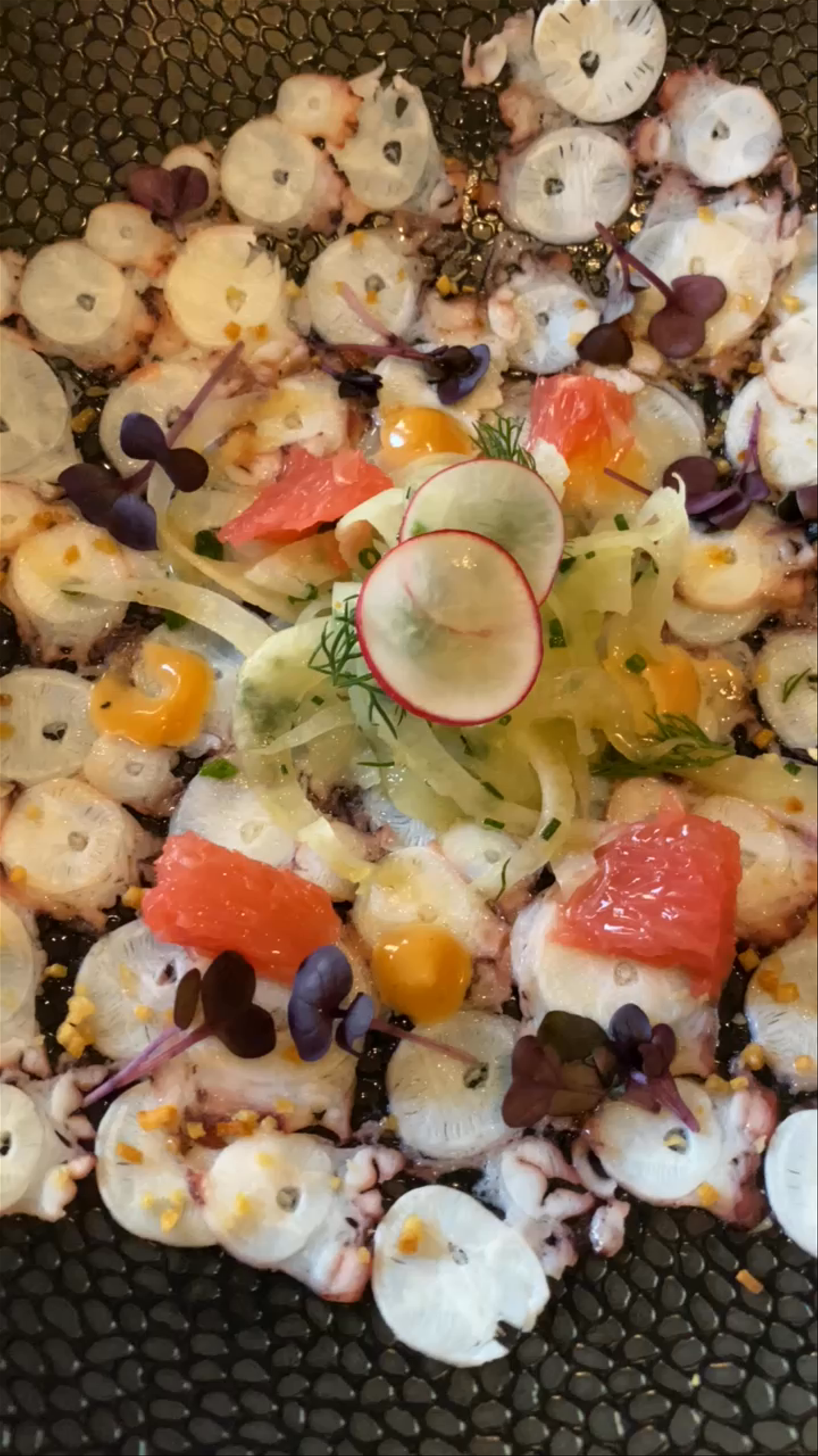 Gourmet Octopus Carpaccio at Grand Café Krasnapolsky in Amsterdam