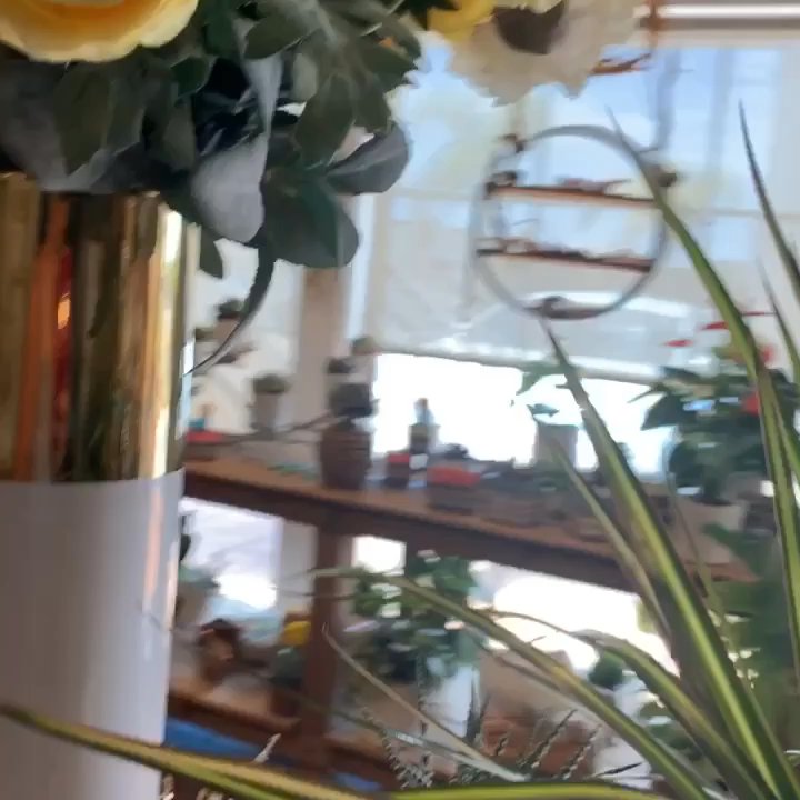Flowers By Sabour - Love this flower shop and the arrangements - Florists Near Me - Laguna Beach, California