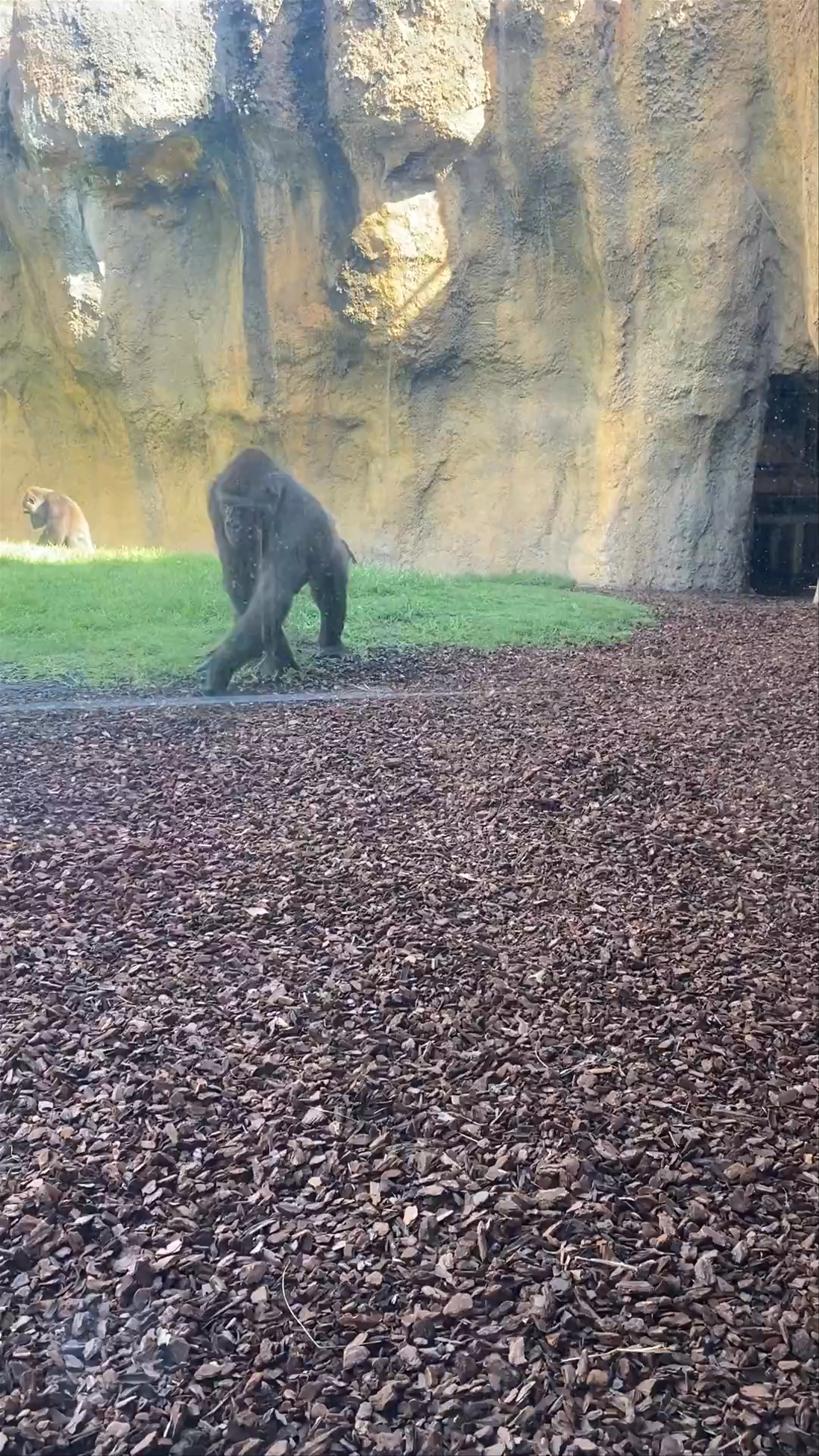 Bioparc