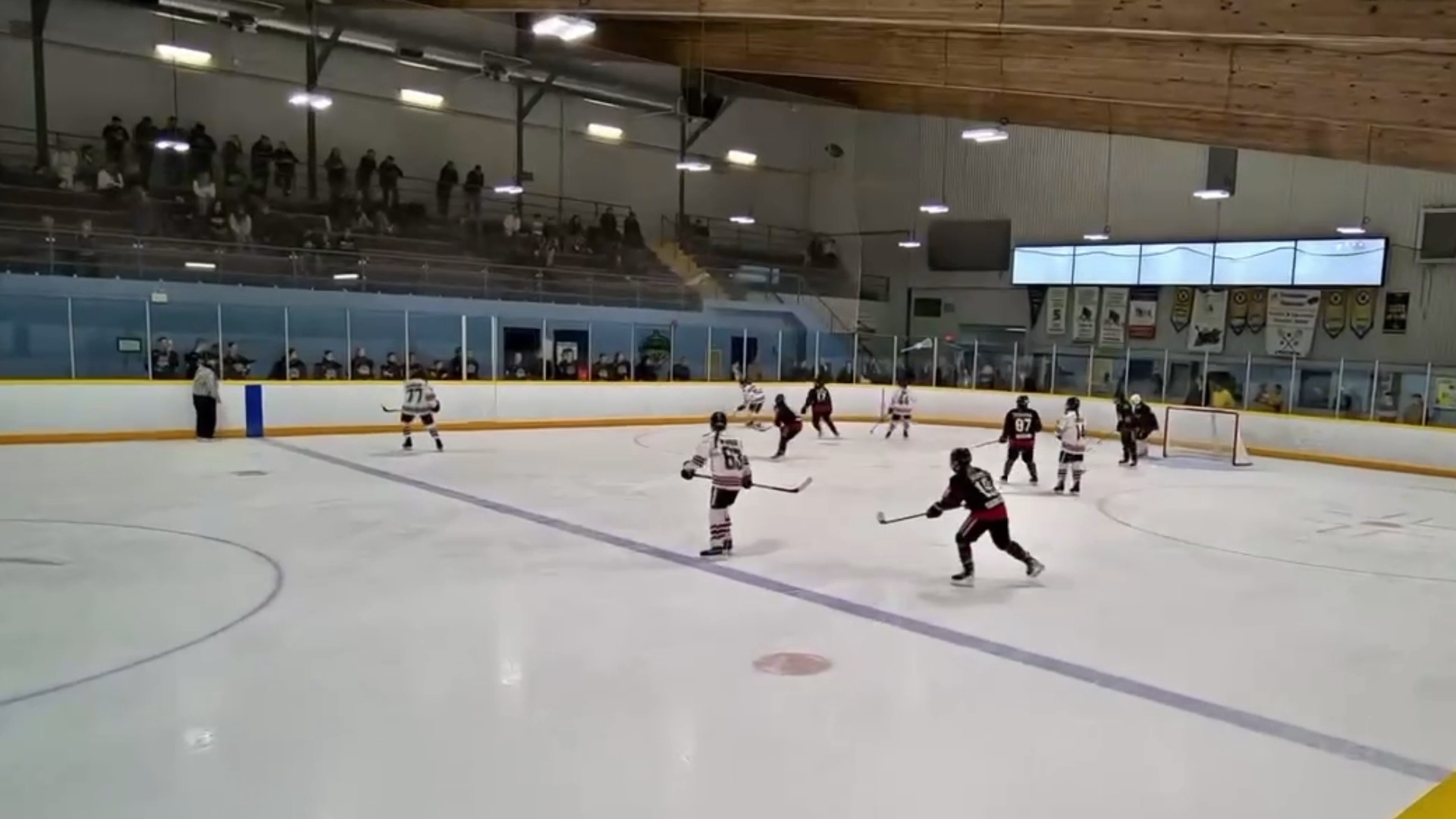 Ellee Truong: Offensive & Defensive Highlights from Windsor Wildcats U18 AA
