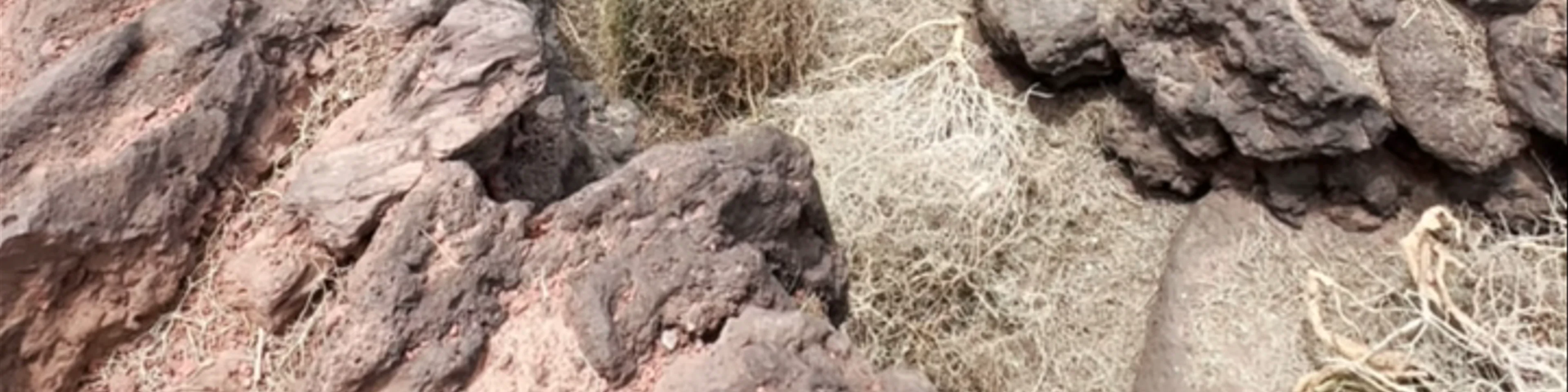 Timanfaya Nationalpark