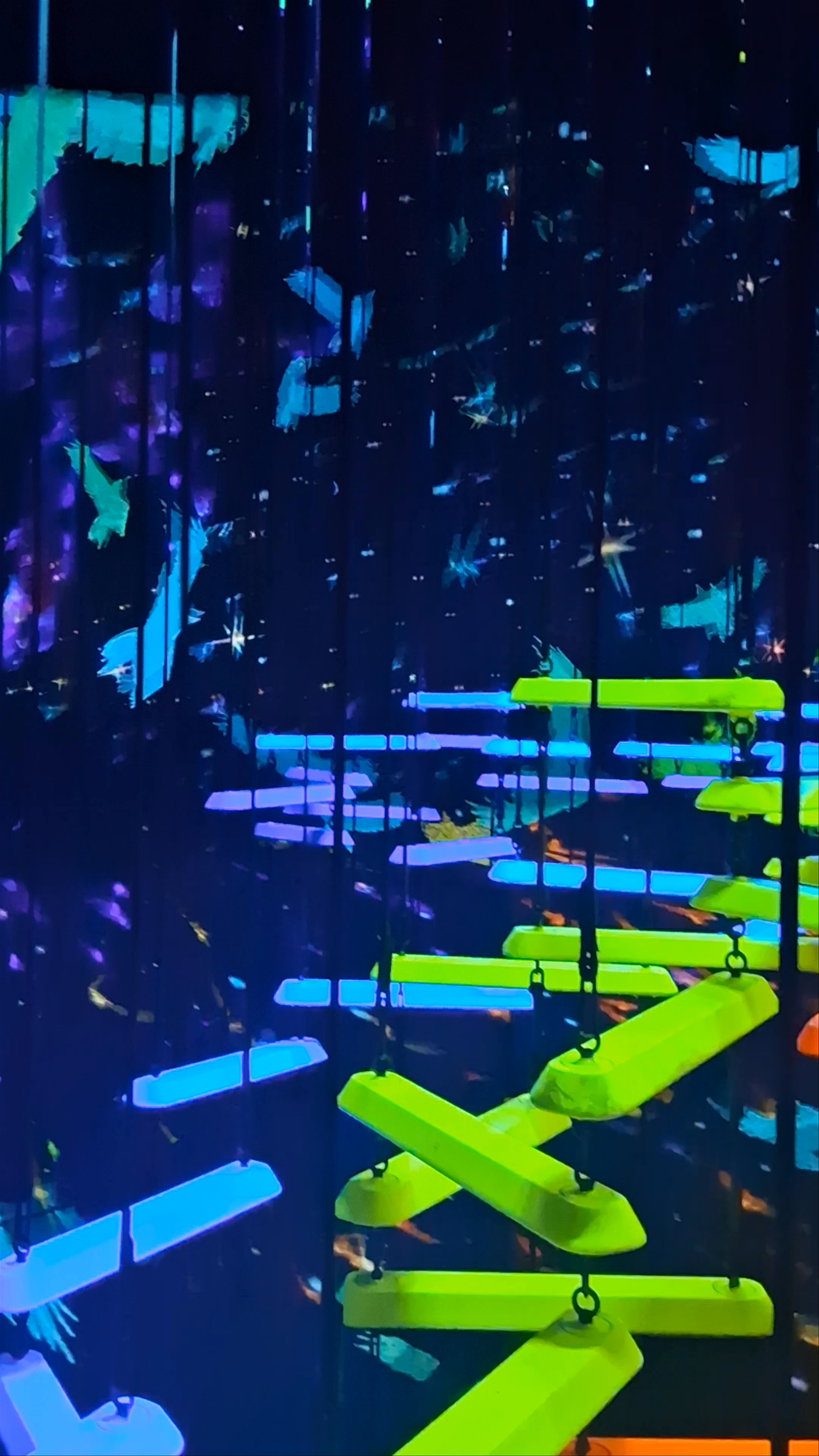 teamLab Planets TOKYO DMM