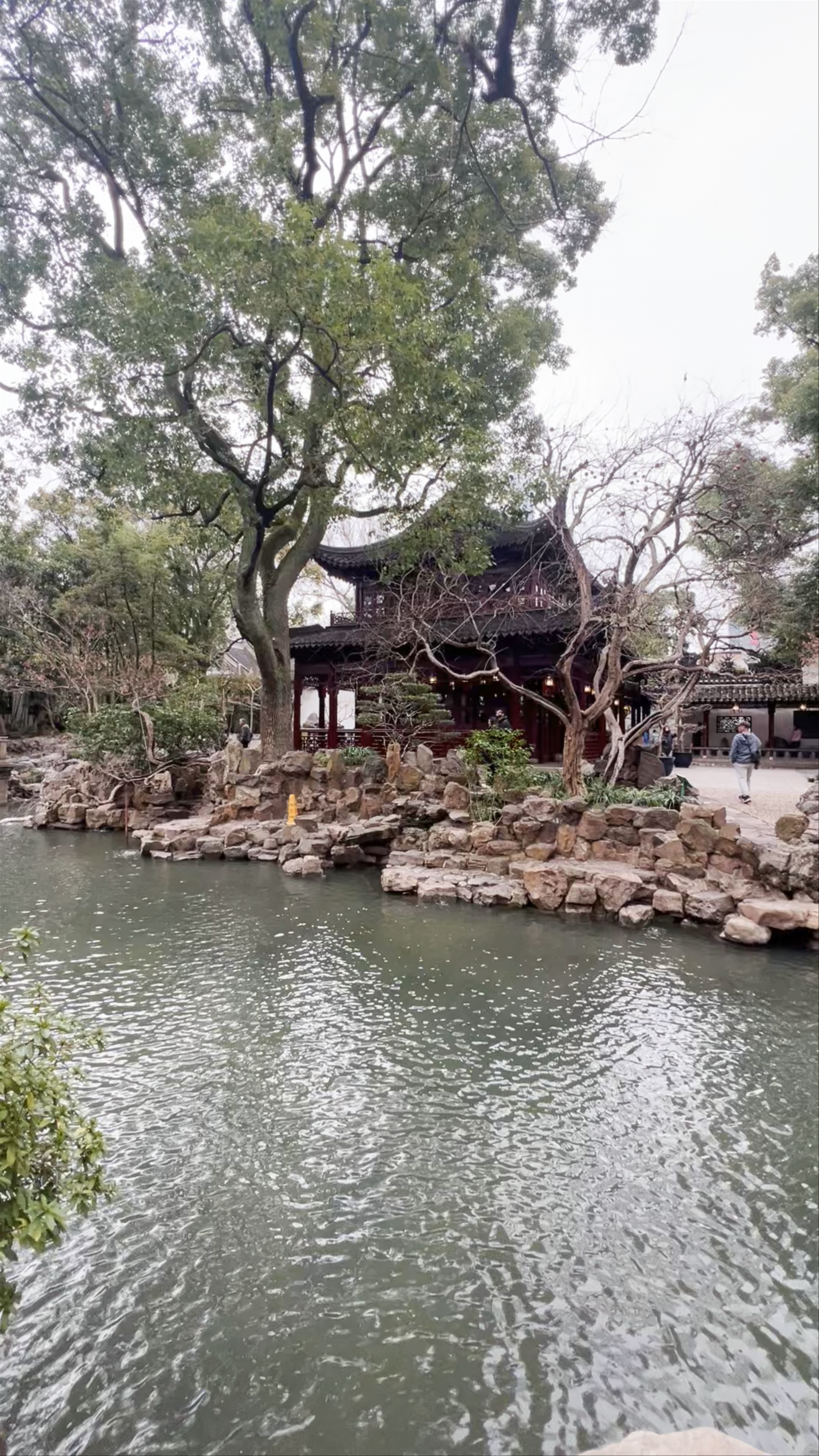 Yu Garden Serenity: A Tranquil Oasis in Shanghai's Historic Heart
