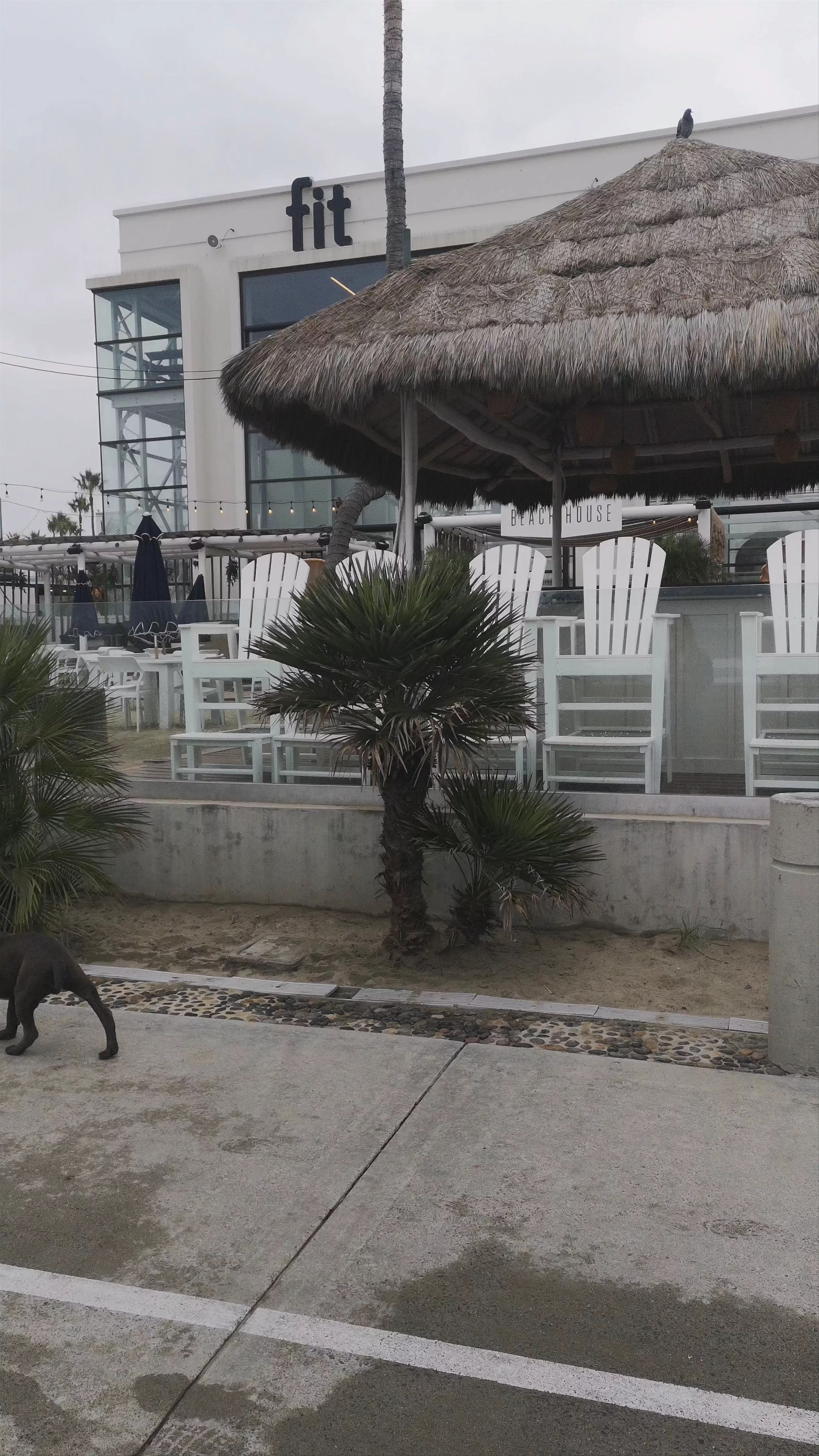 Mission Beach Boardwalk