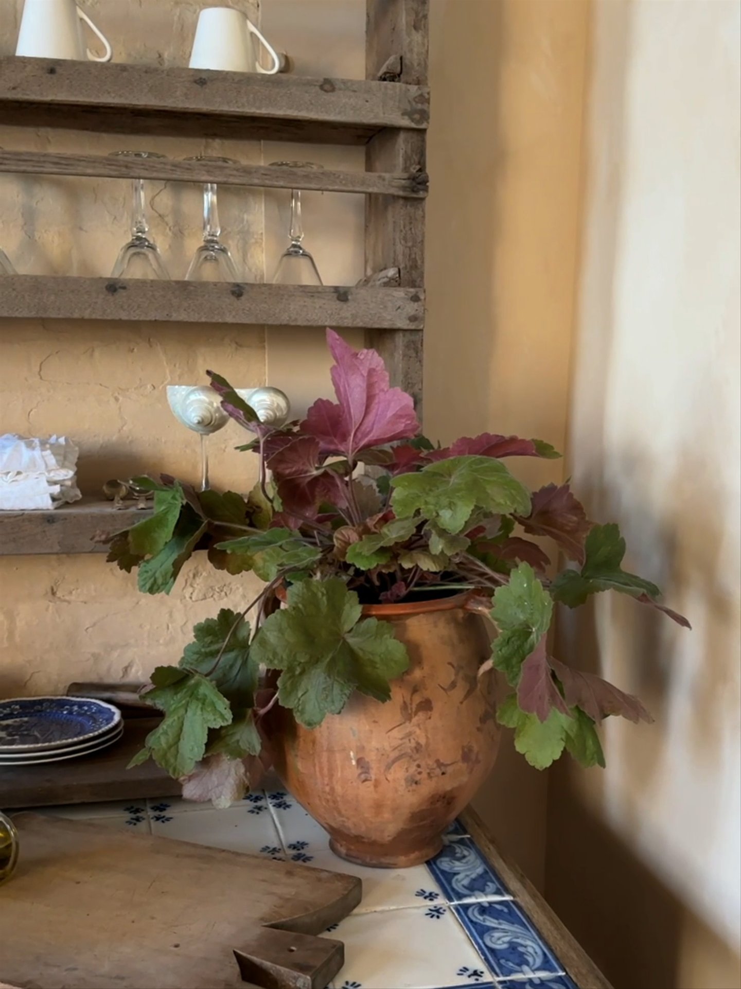 Round French Terracotta Pot