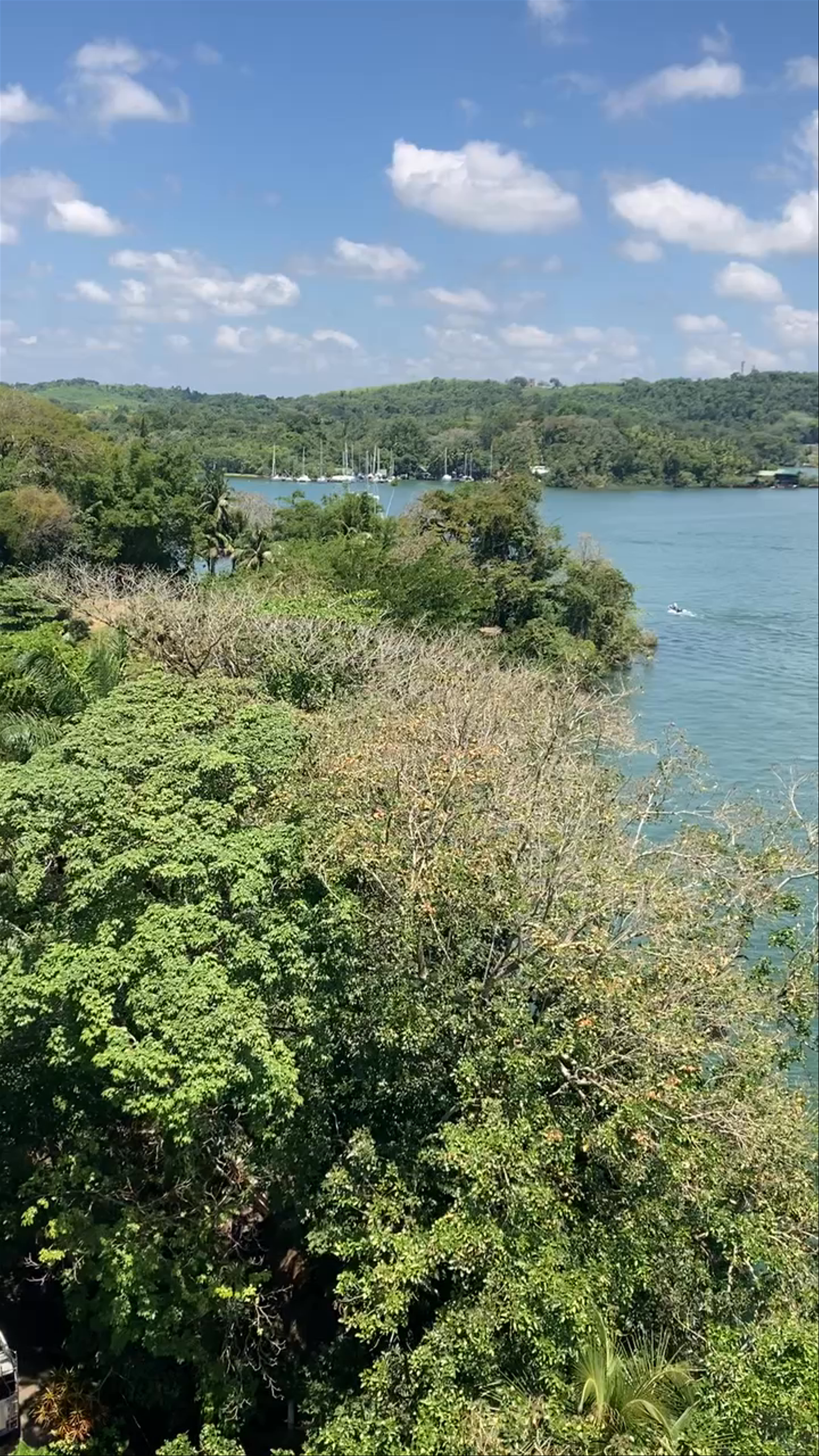 Puente de Río Dulce: Vibrant River Life in Guatemala