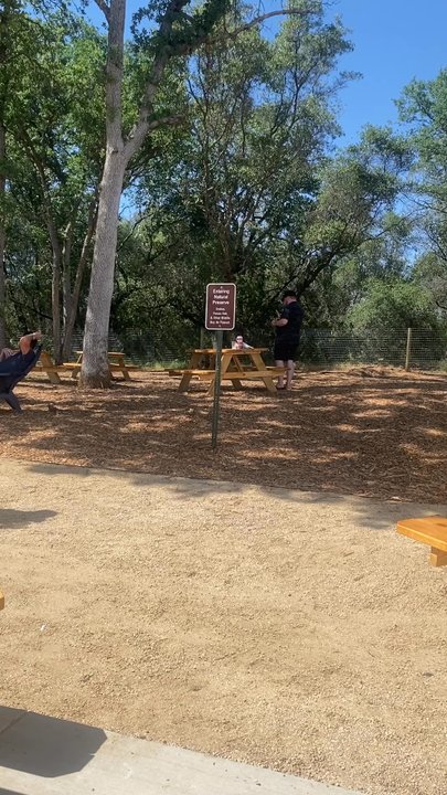 Mill House Brewery - Outside area - Breweries Near Me - Shingle Springs, California