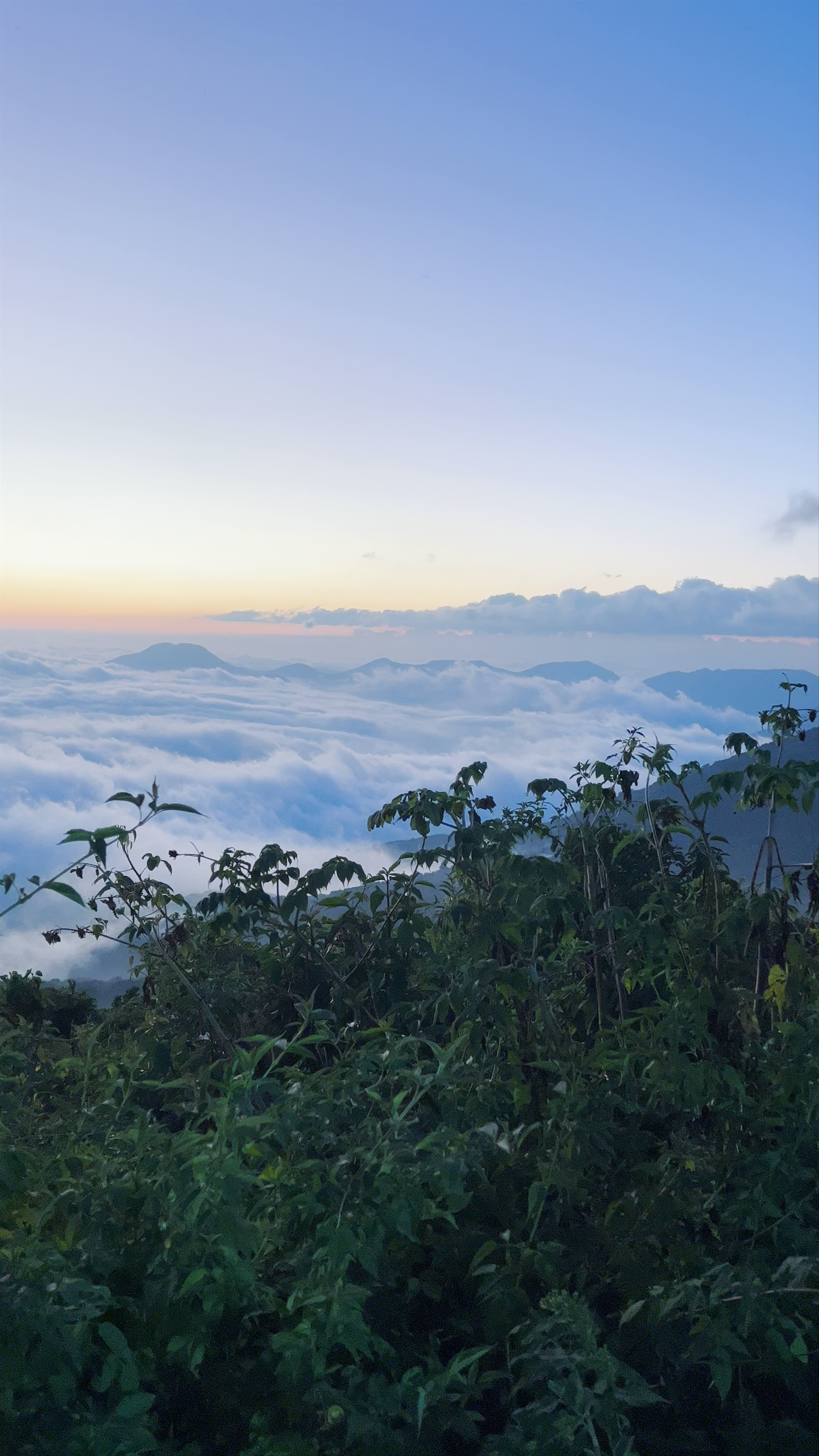 Parque Nacional Cerro Verde