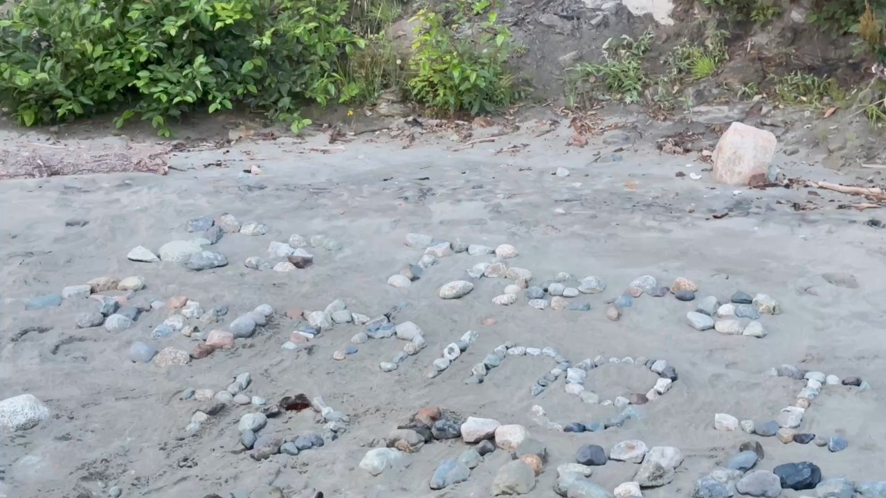 Wreck Beach - "Is there anything I can do to make your day a little better" - Beaches Near Me - Vancouver, British Columbia