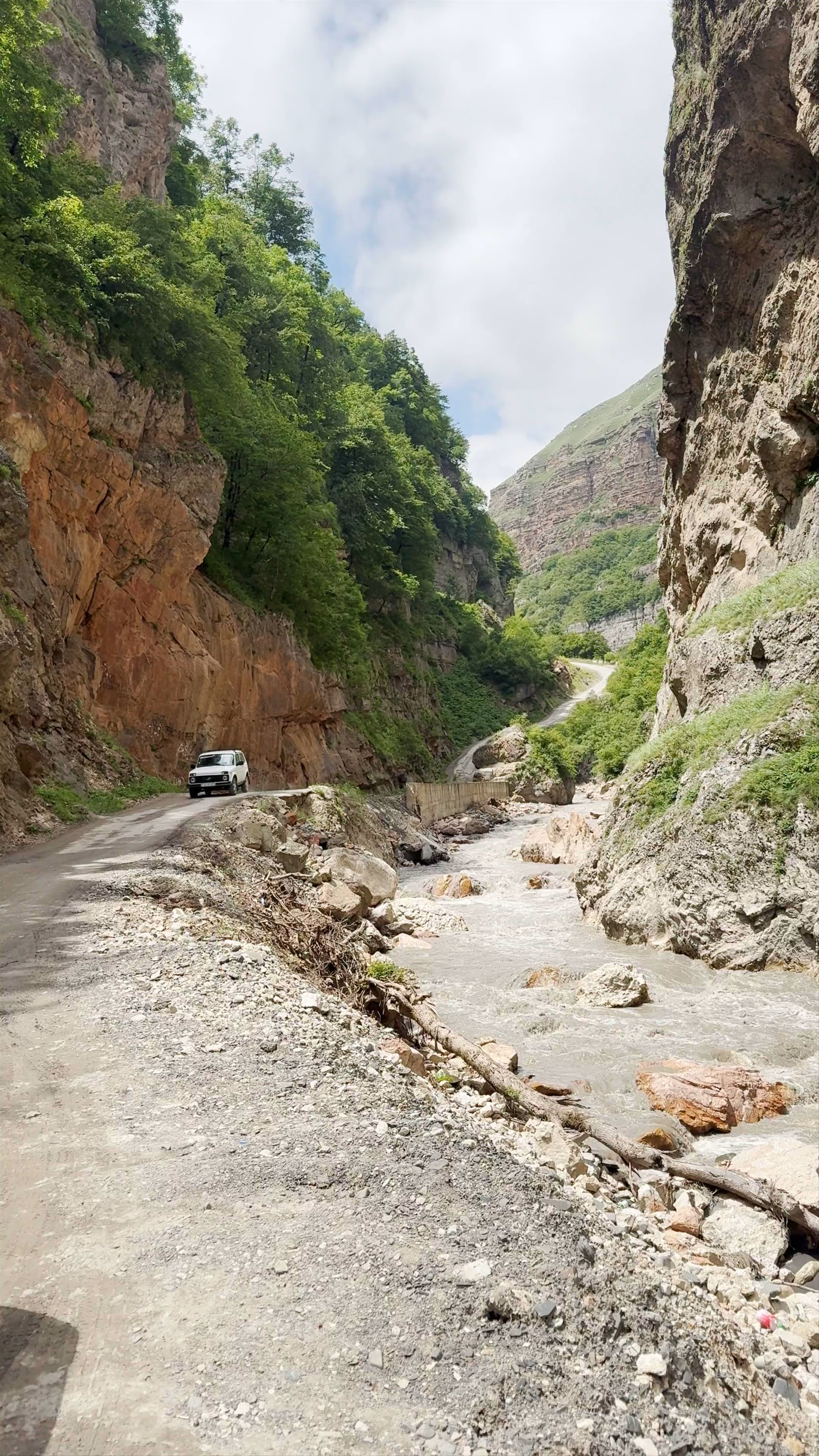 نهر كاتس رش River Kats Rash